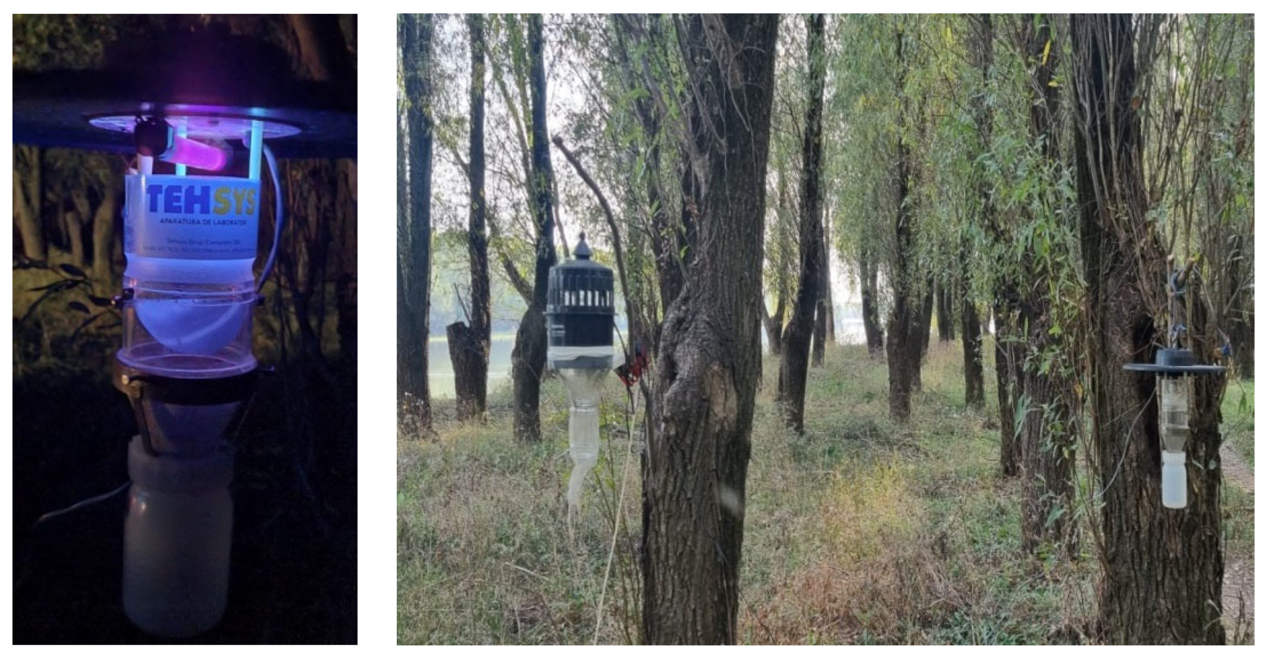 Tropicalmed 08 00065 g001