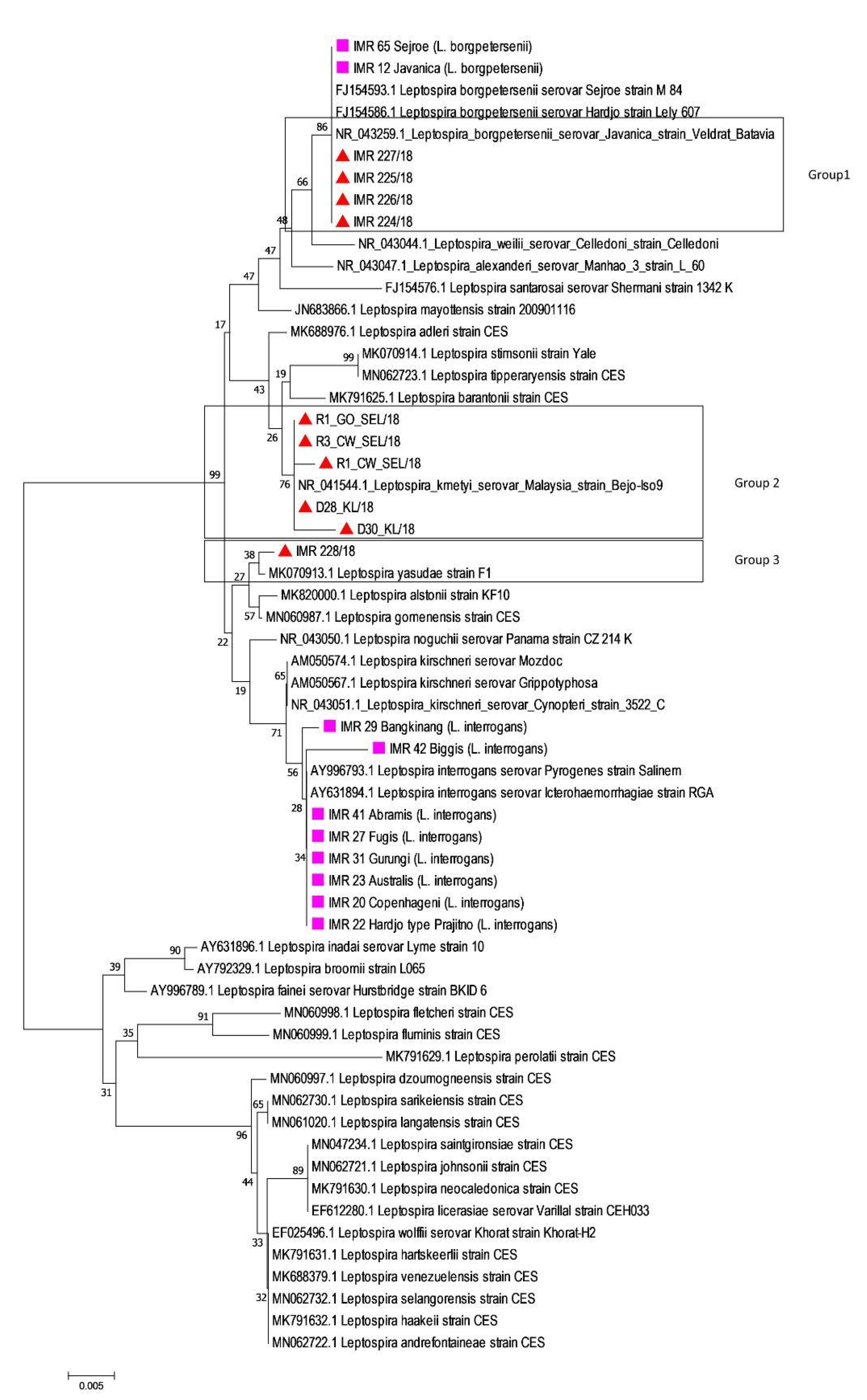 Tropicalmed 08 00069 g002