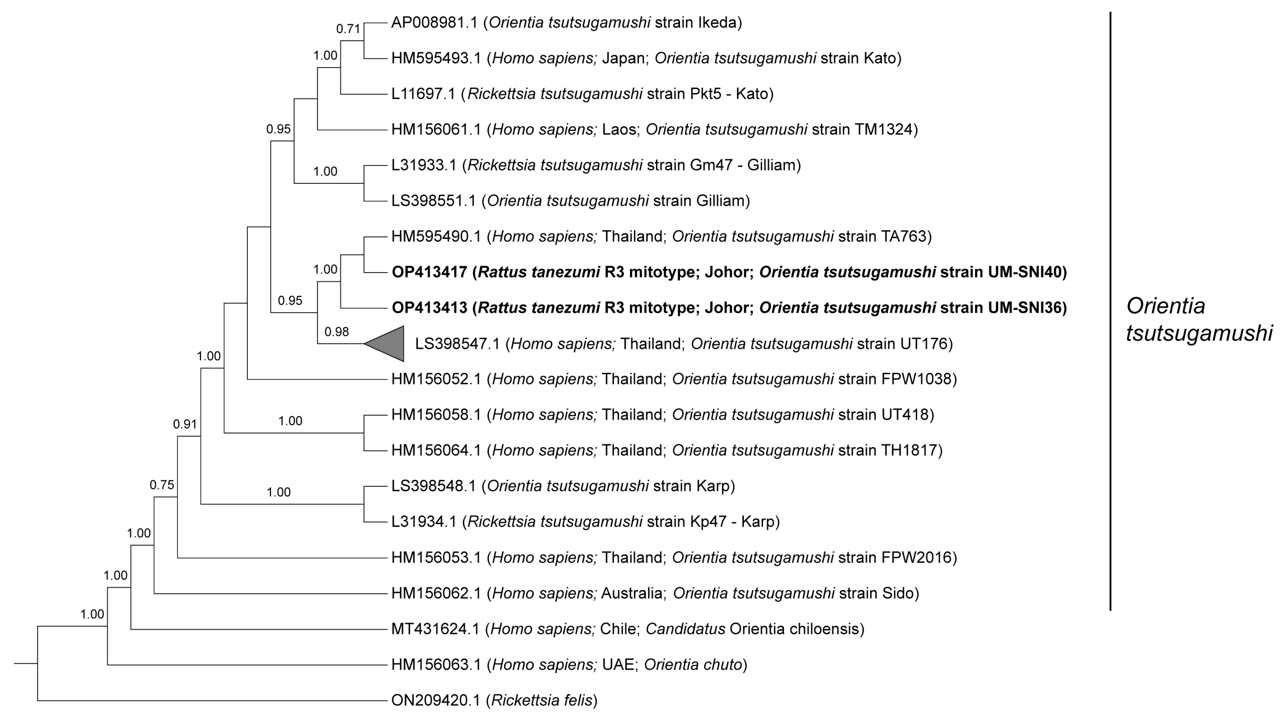 Tropicalmed 08 00074 g001
