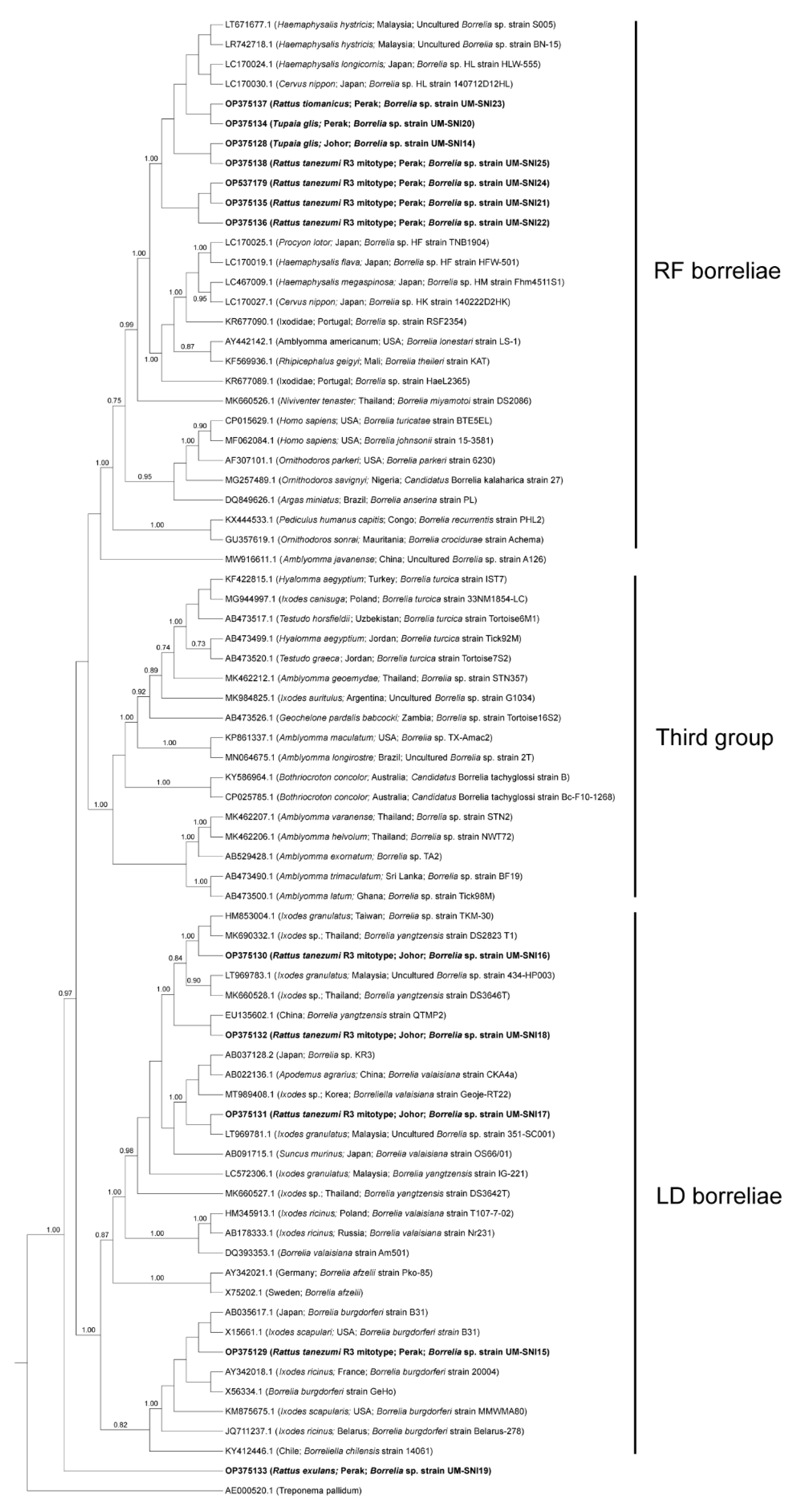 Tropicalmed 08 00074 g002