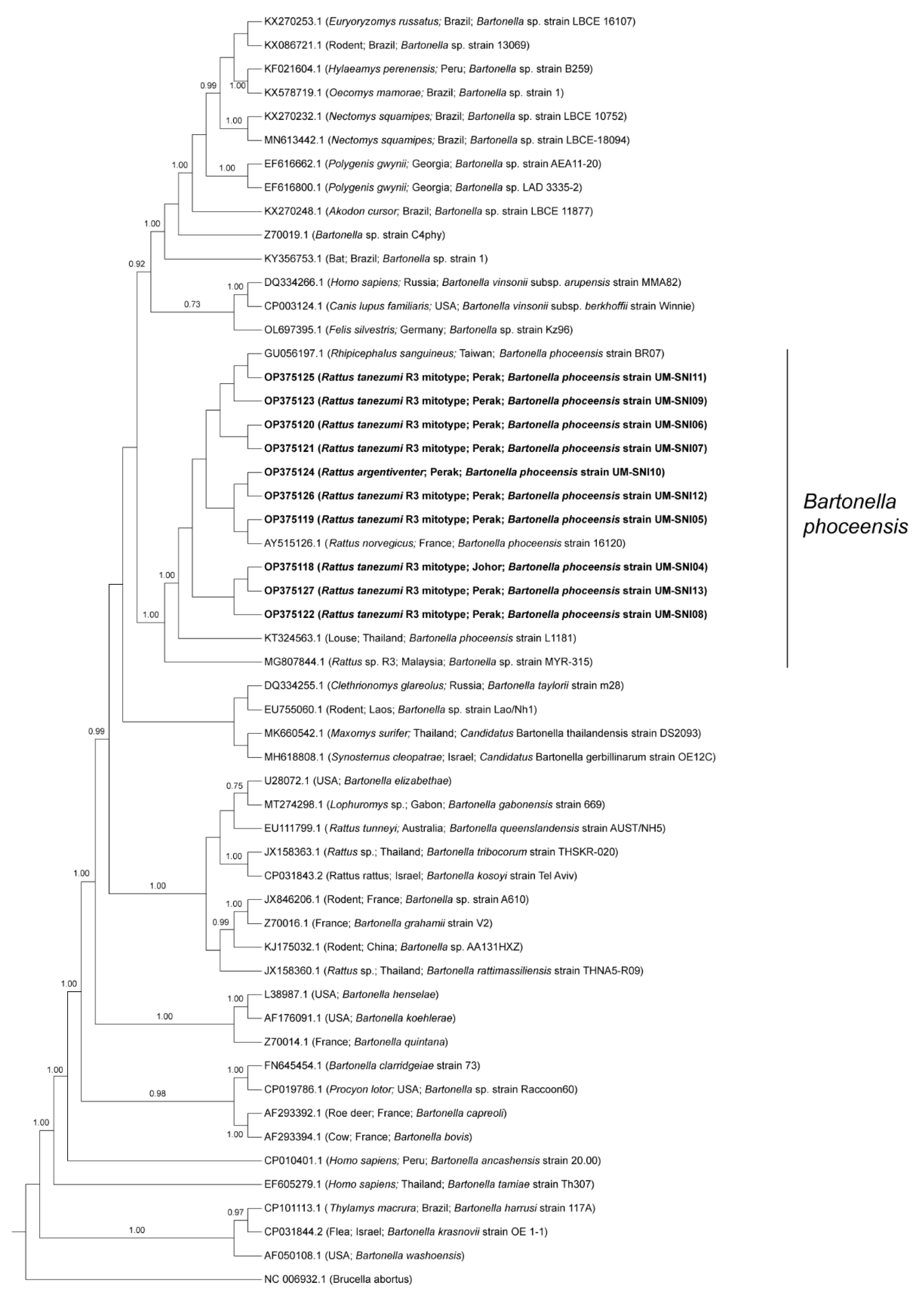 Tropicalmed 08 00074 g003