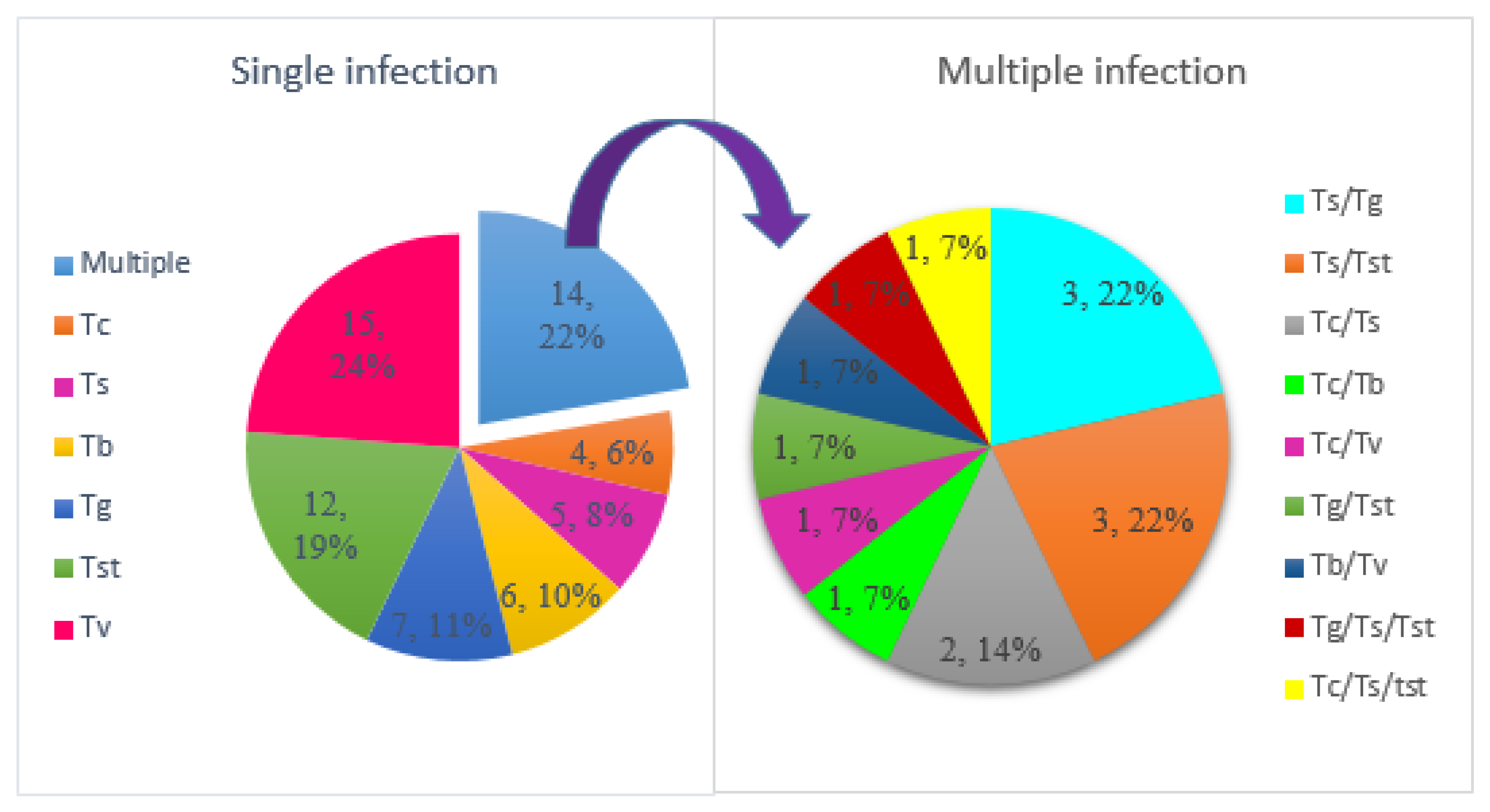 Tropicalmed 08 00080 g003