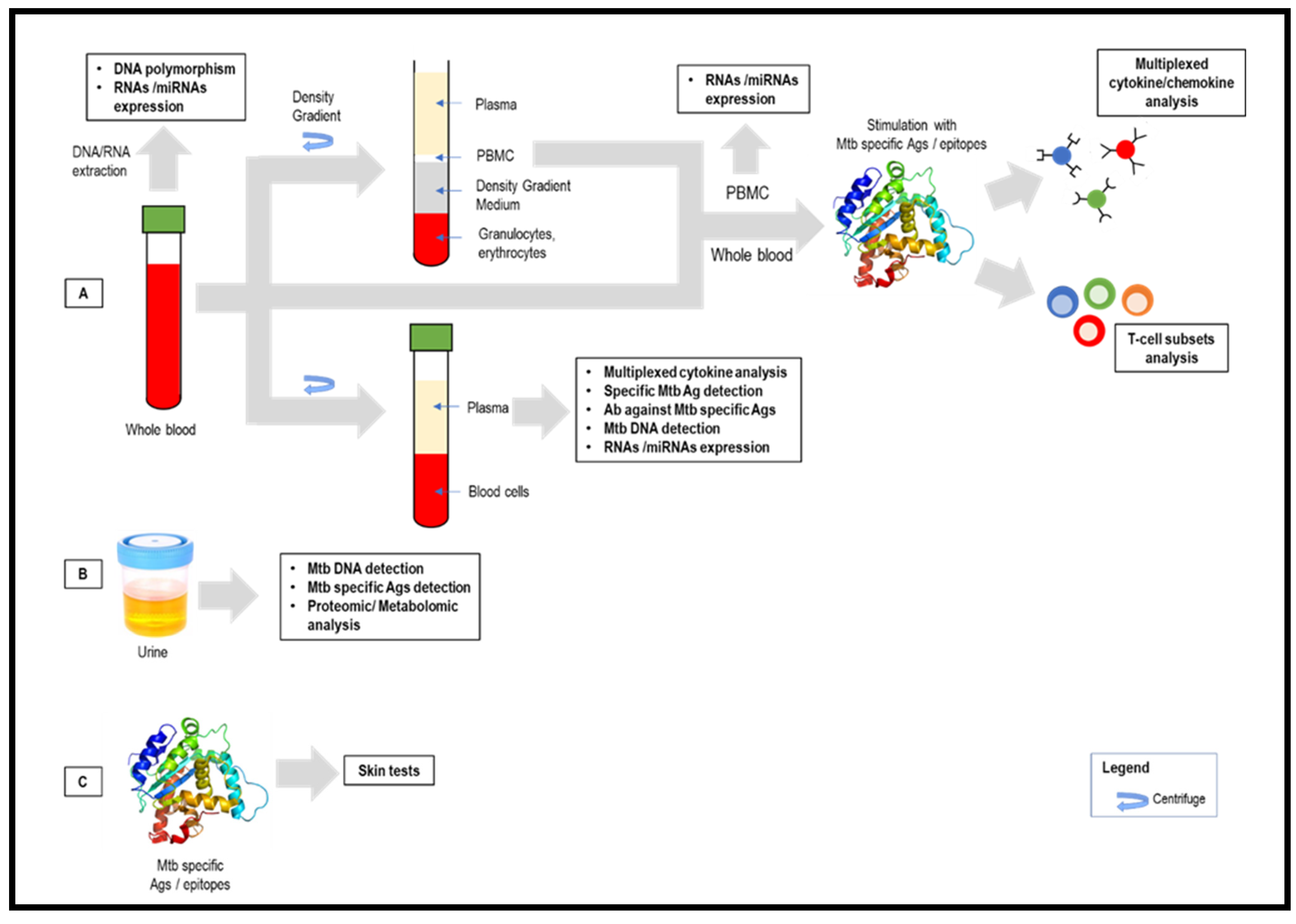 Tropicalmed 08 00089 g002