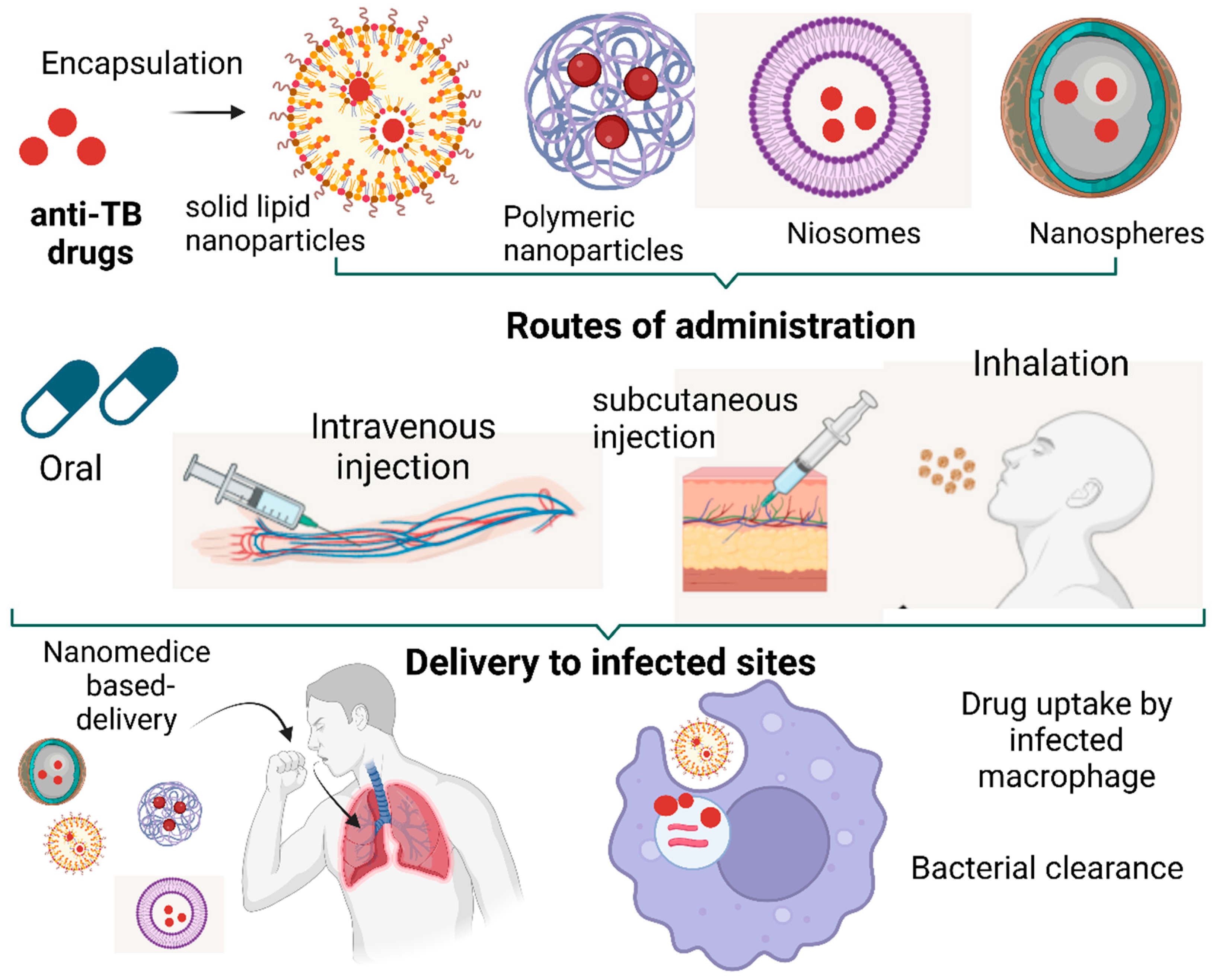 Tropicalmed 08 00100 g002
