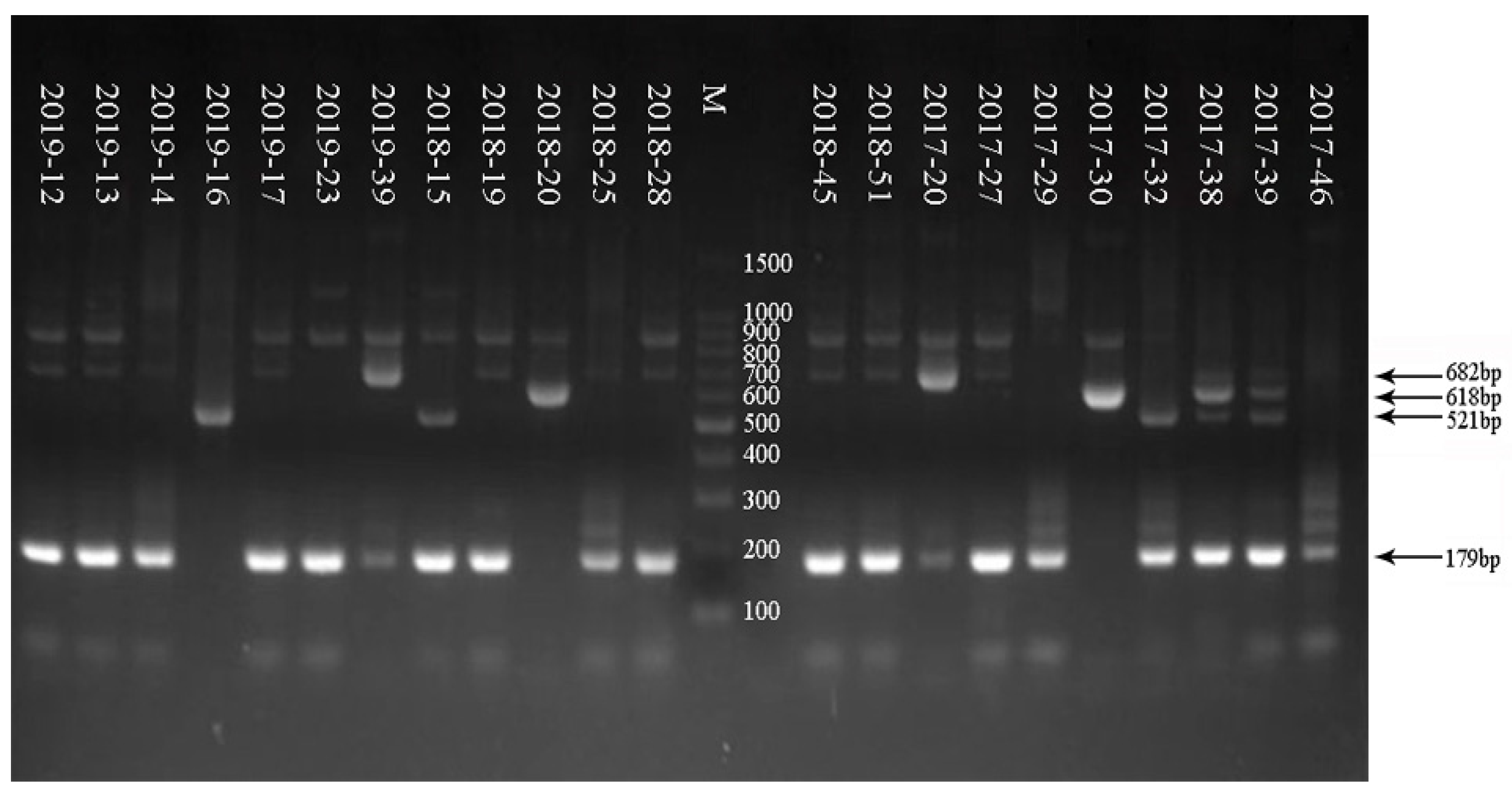 Tropicalmed 08 00101 g001