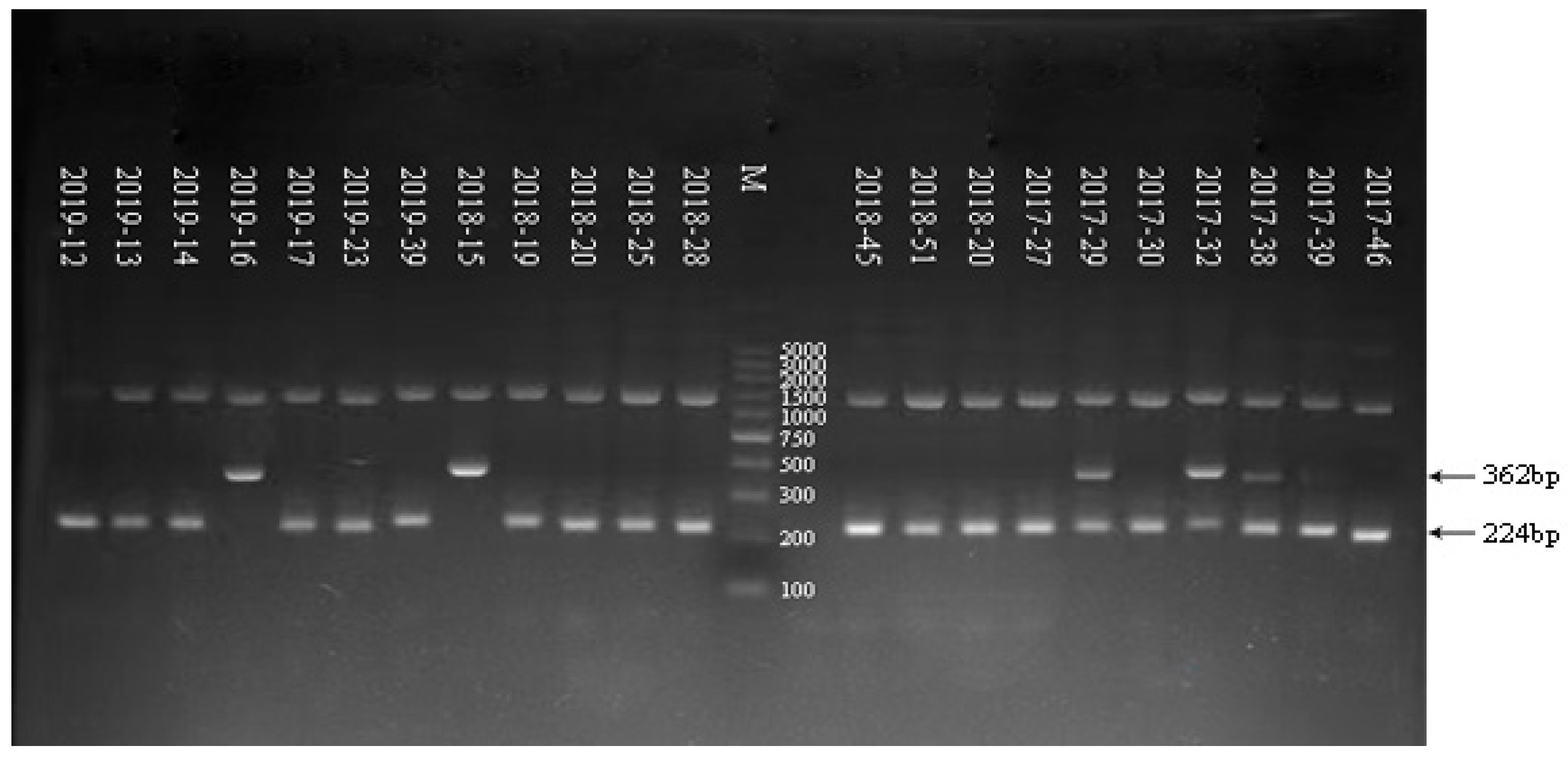 Tropicalmed 08 00101 g002