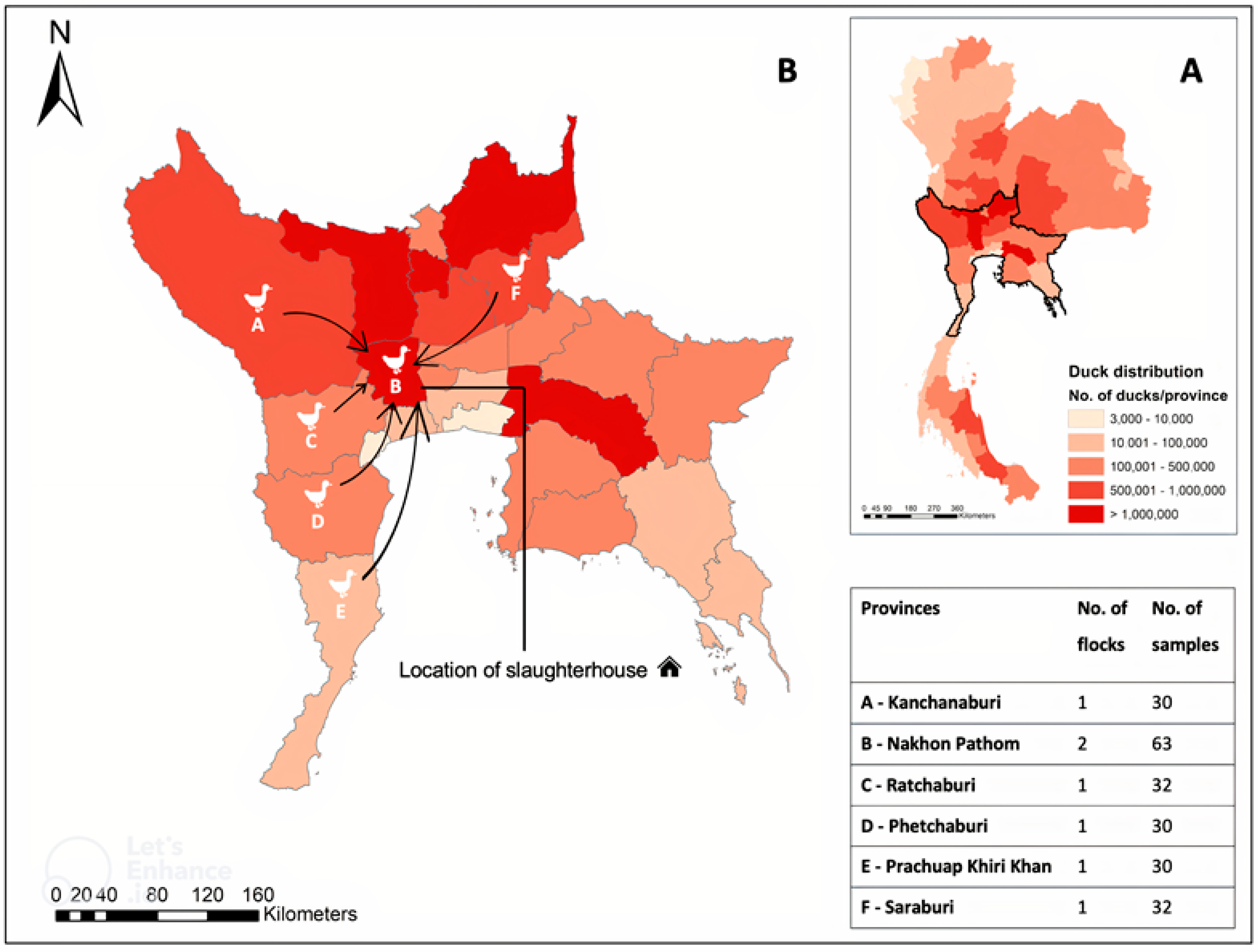 Tropicalmed 08 00103 g001
