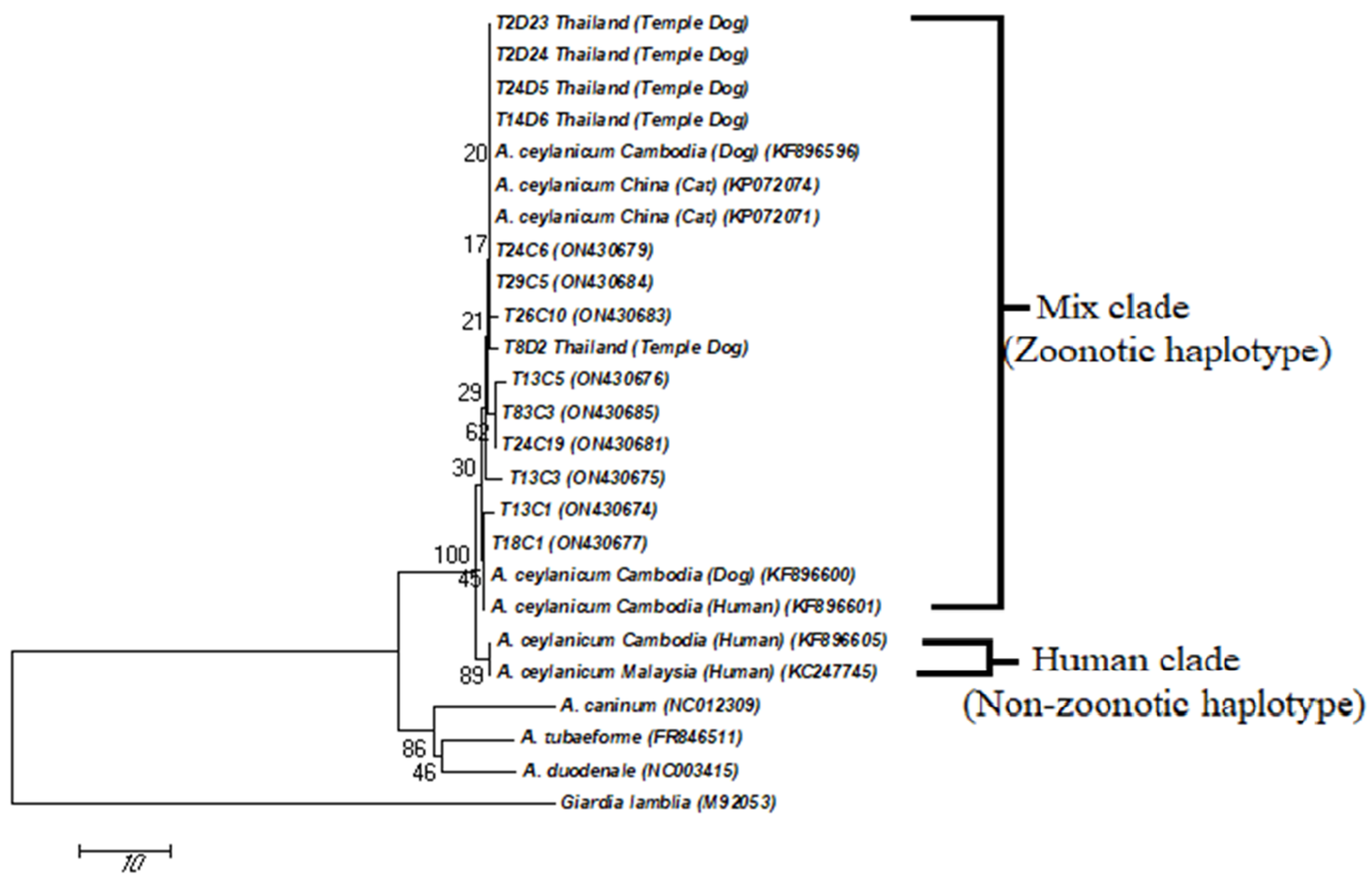 Tropicalmed 08 00122 g002