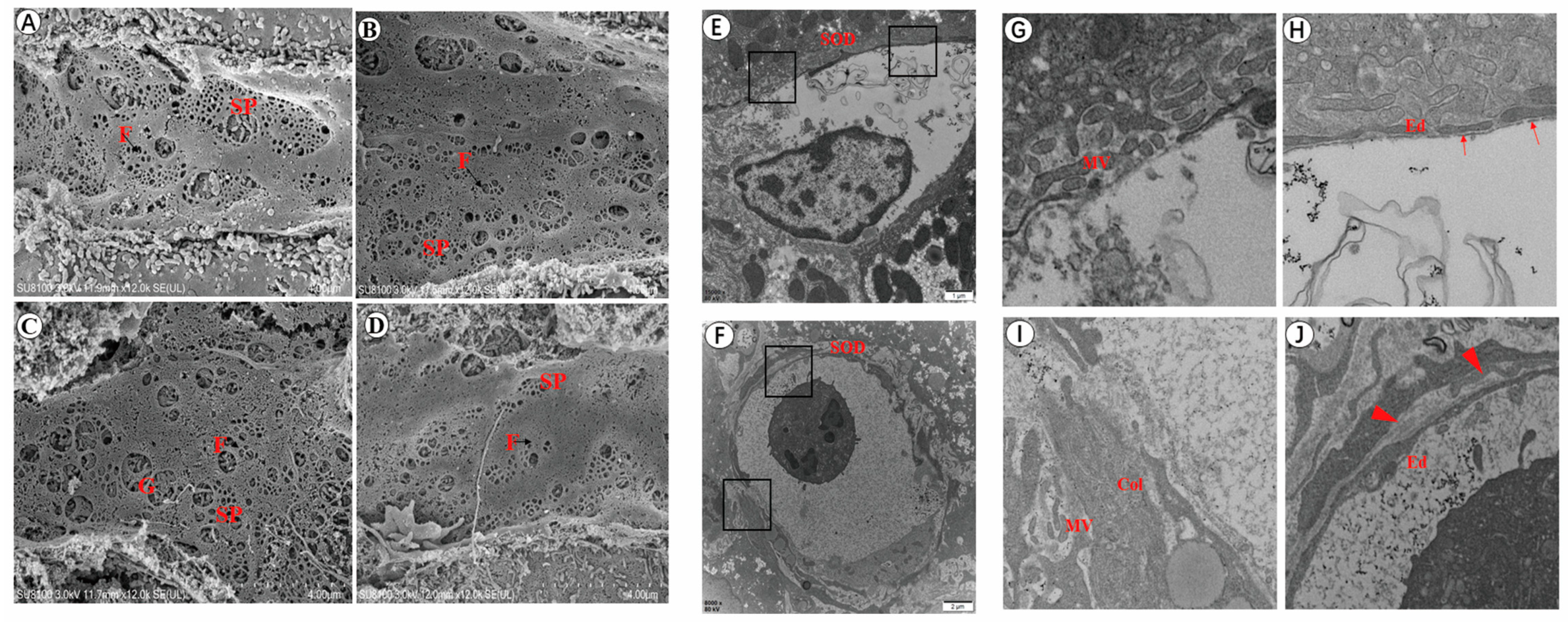 Tropicalmed 08 00124 g002 Tropicalmed 08 00124 g002