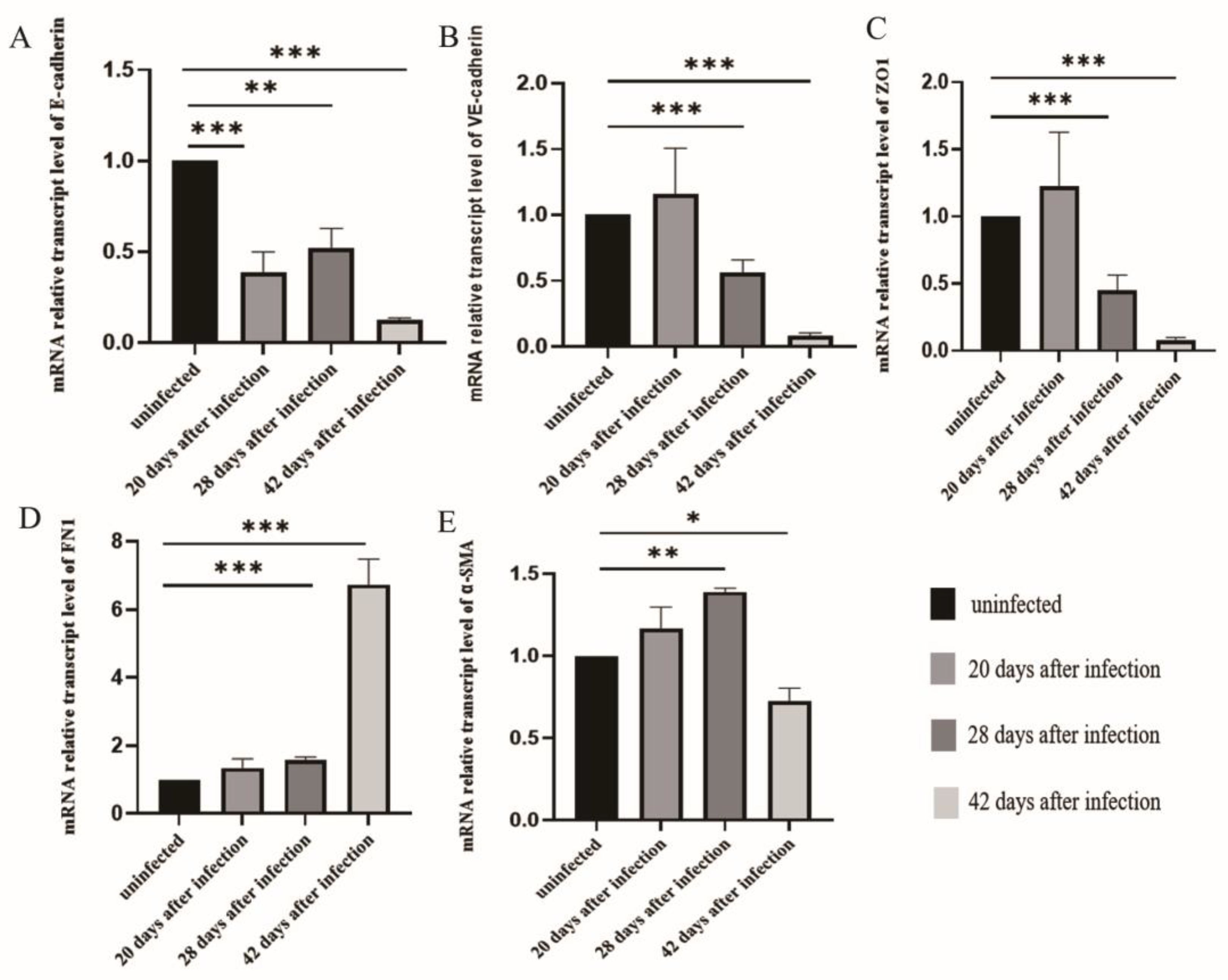 Tropicalmed 08 00124 g003 Tropicalmed 08 00124 g003
