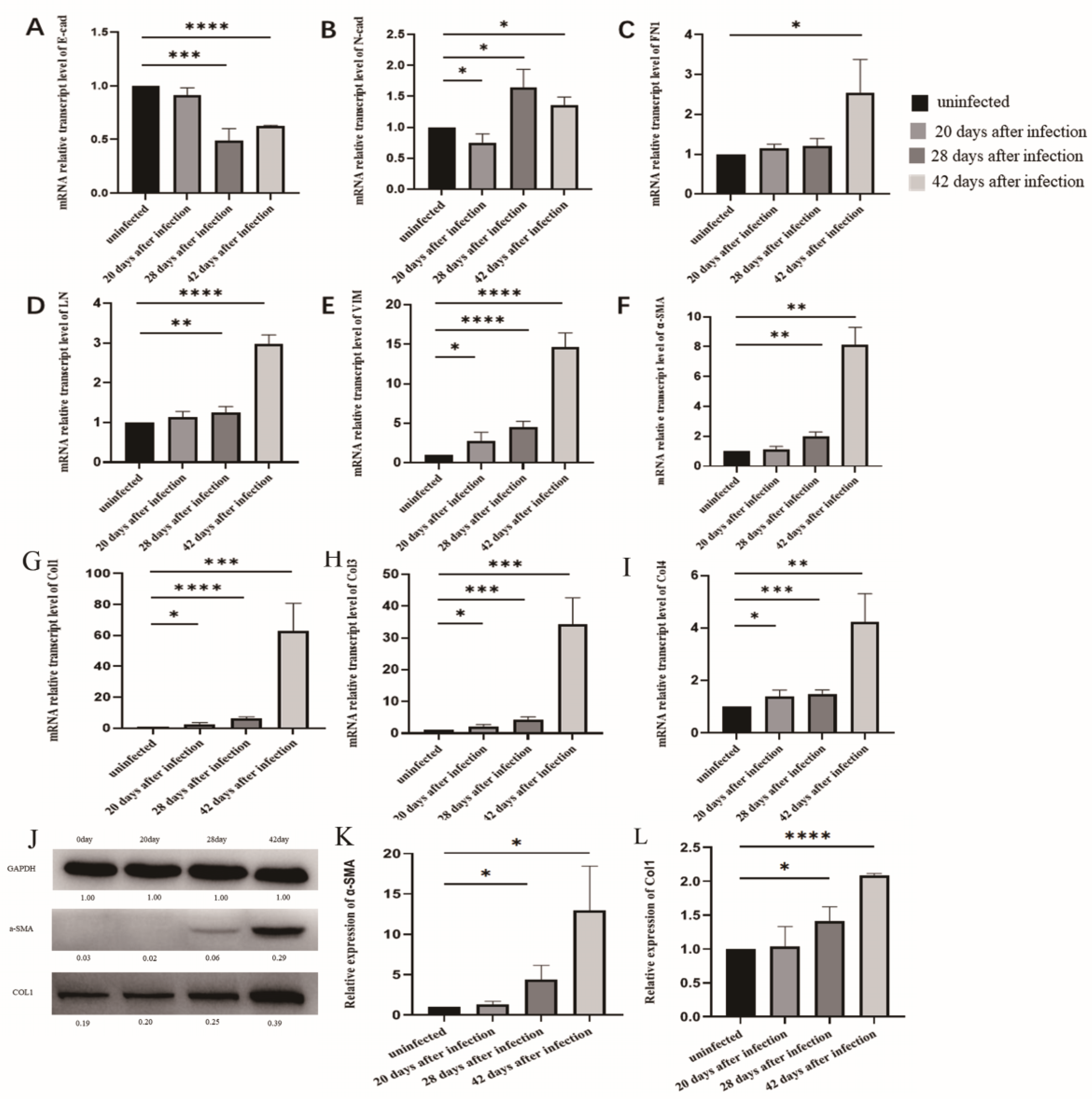 Tropicalmed 08 00124 g004 Tropicalmed 08 00124 g004