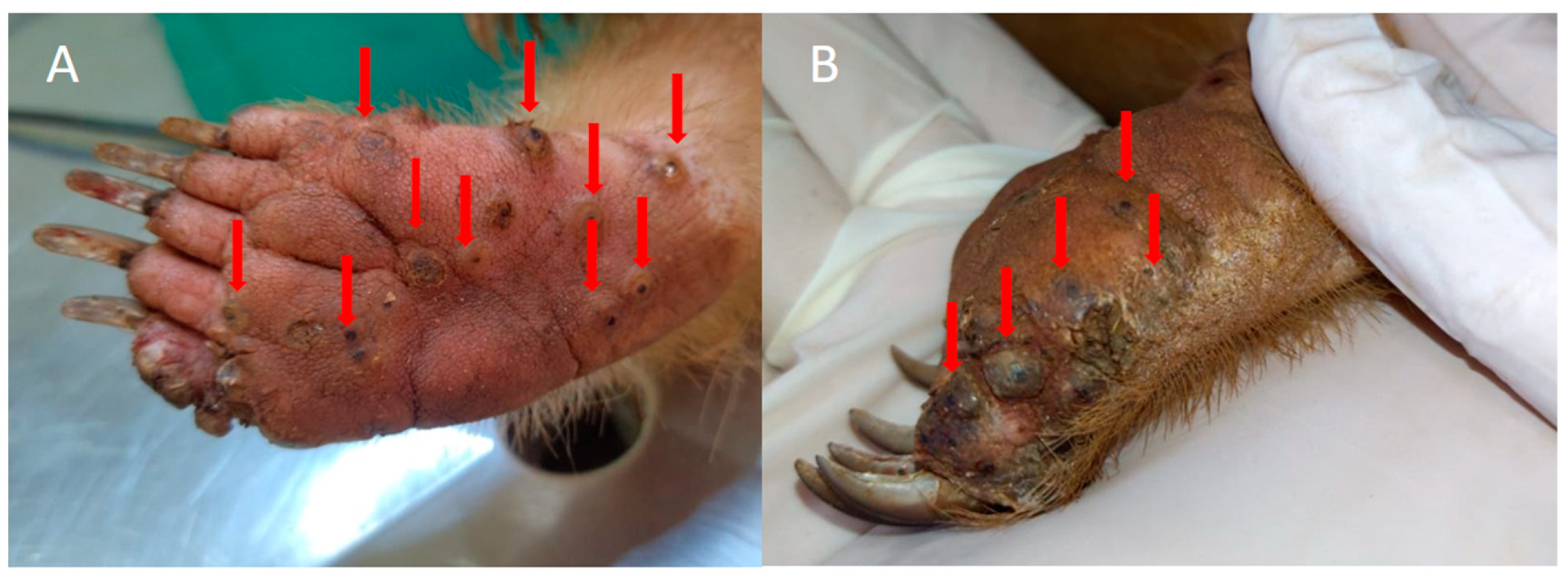 Tropicalmed 08 00142 g001