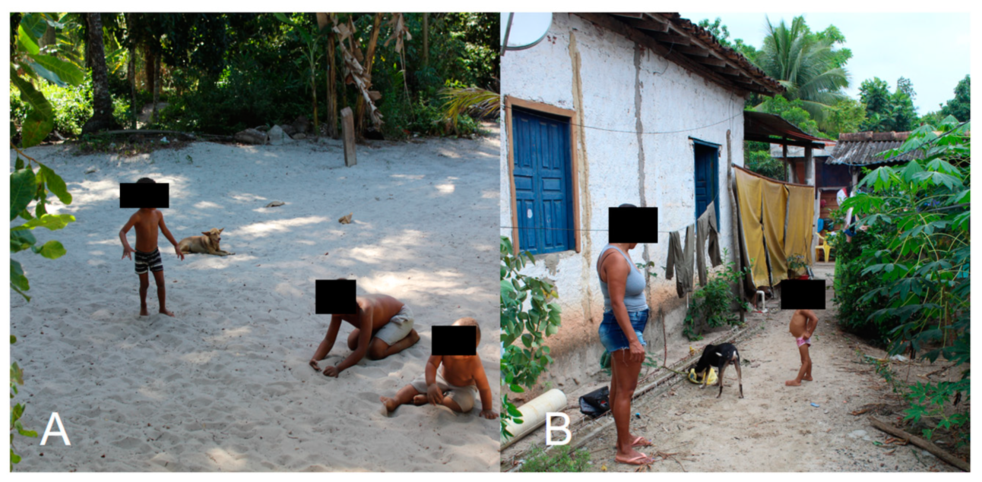 Tropicalmed 08 00142 g003