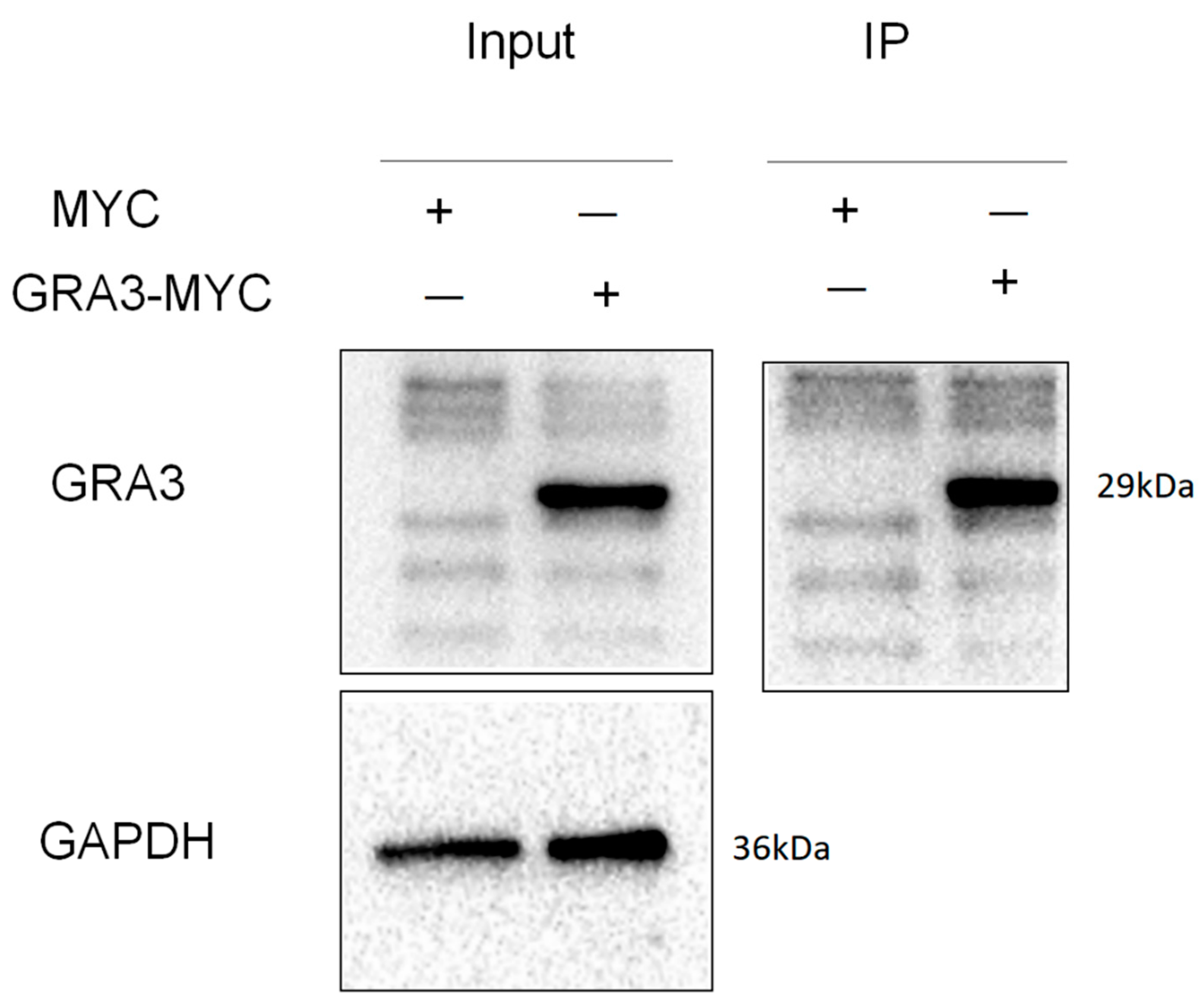 Tropicalmed 08 00143 g006
