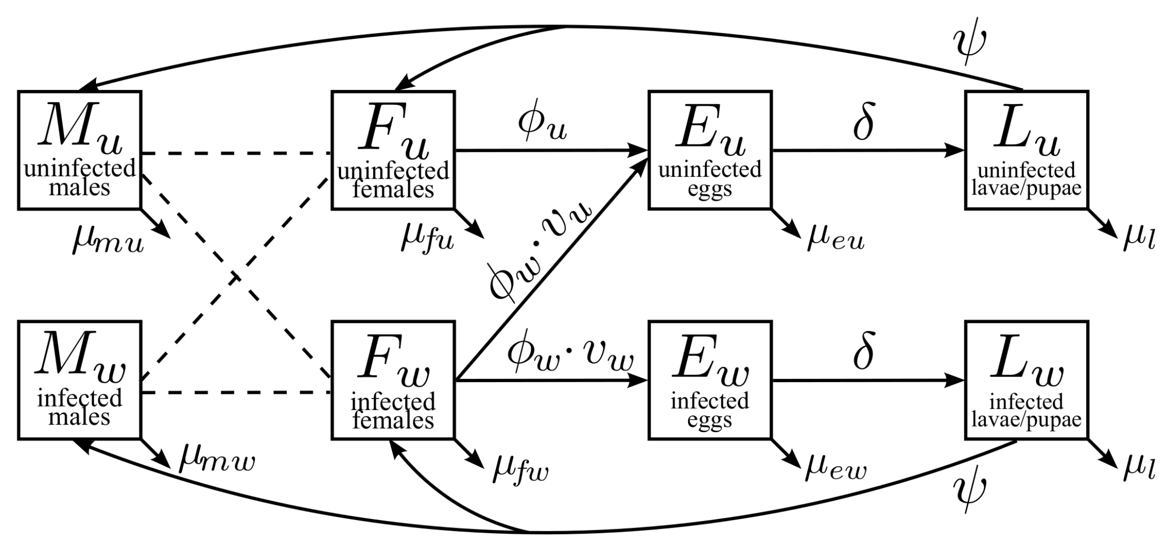 Tropicalmed 08 00162 g001