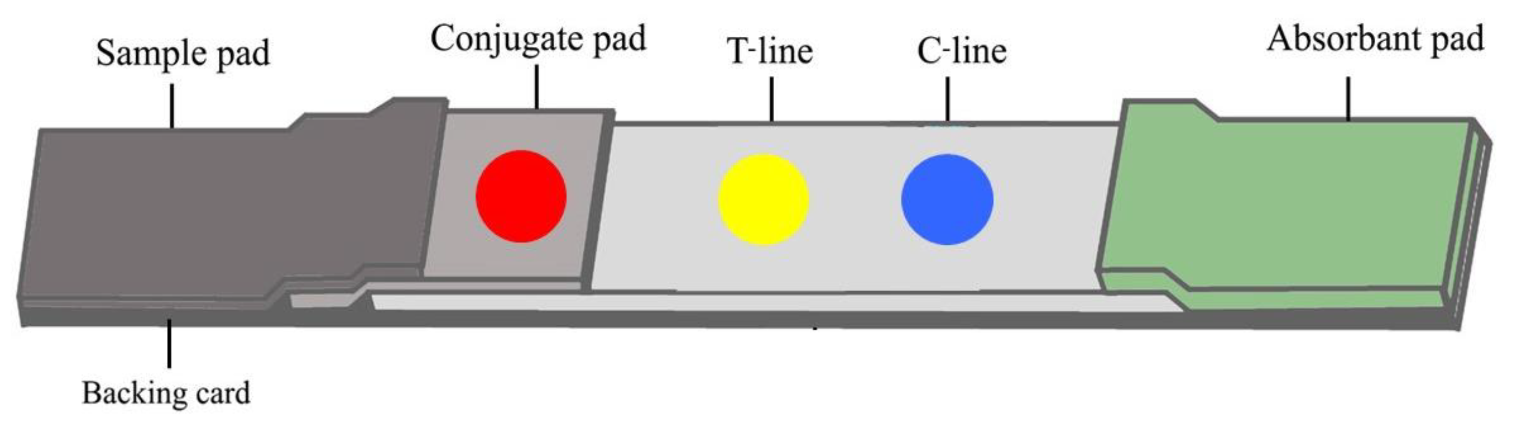 Tropicalmed 08 00164 g001
