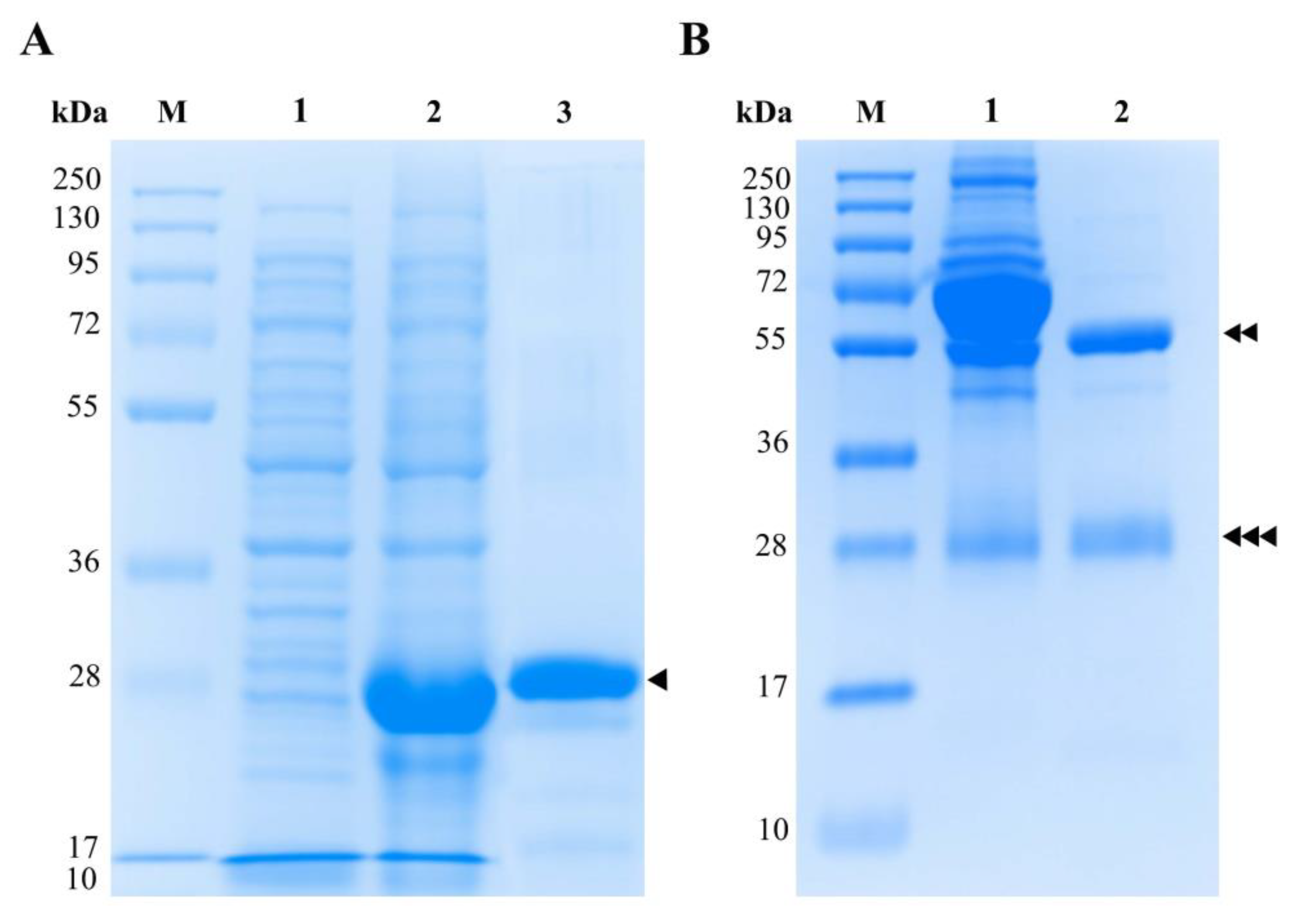 Tropicalmed 08 00164 g002