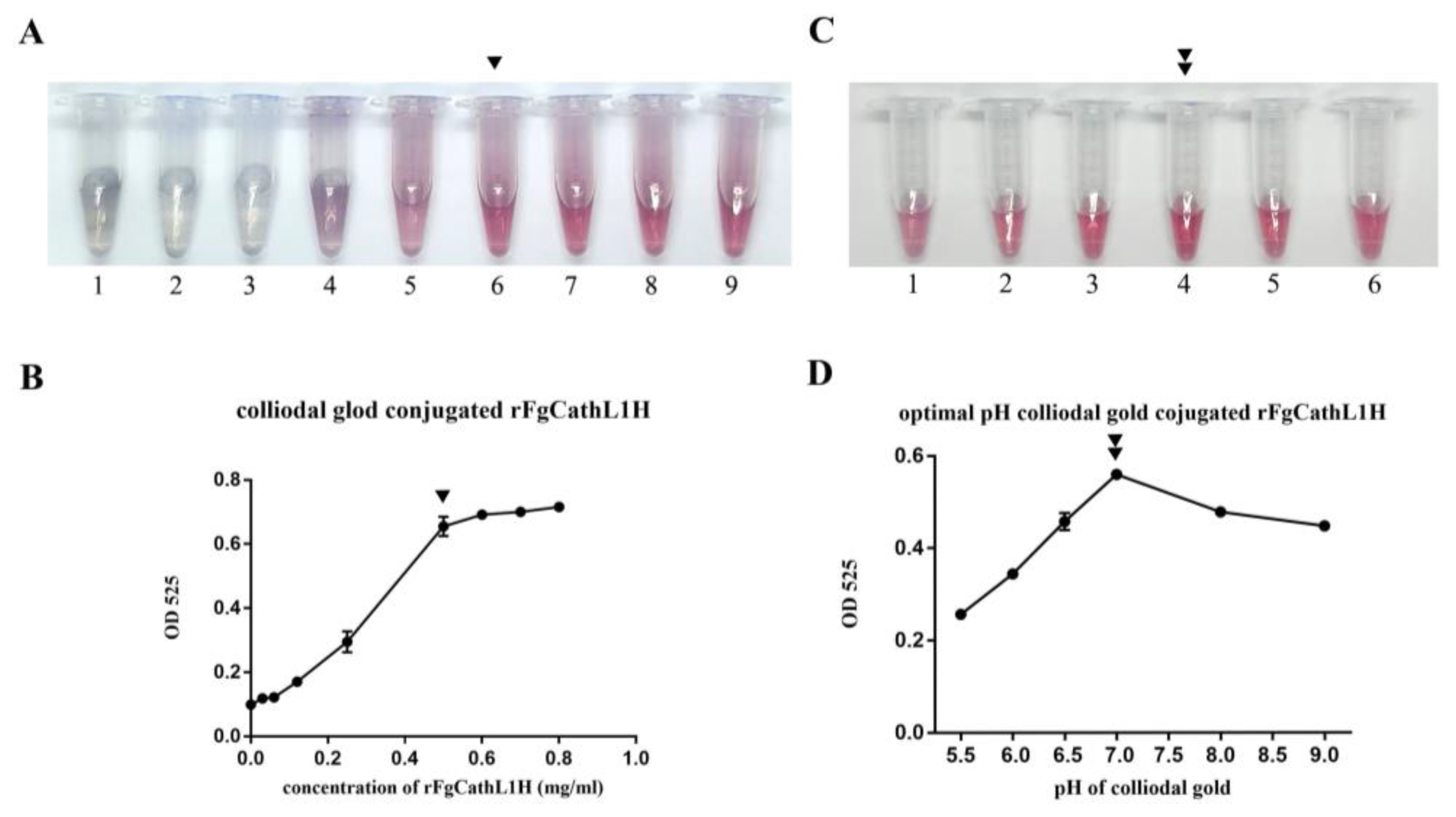 Tropicalmed 08 00164 g003
