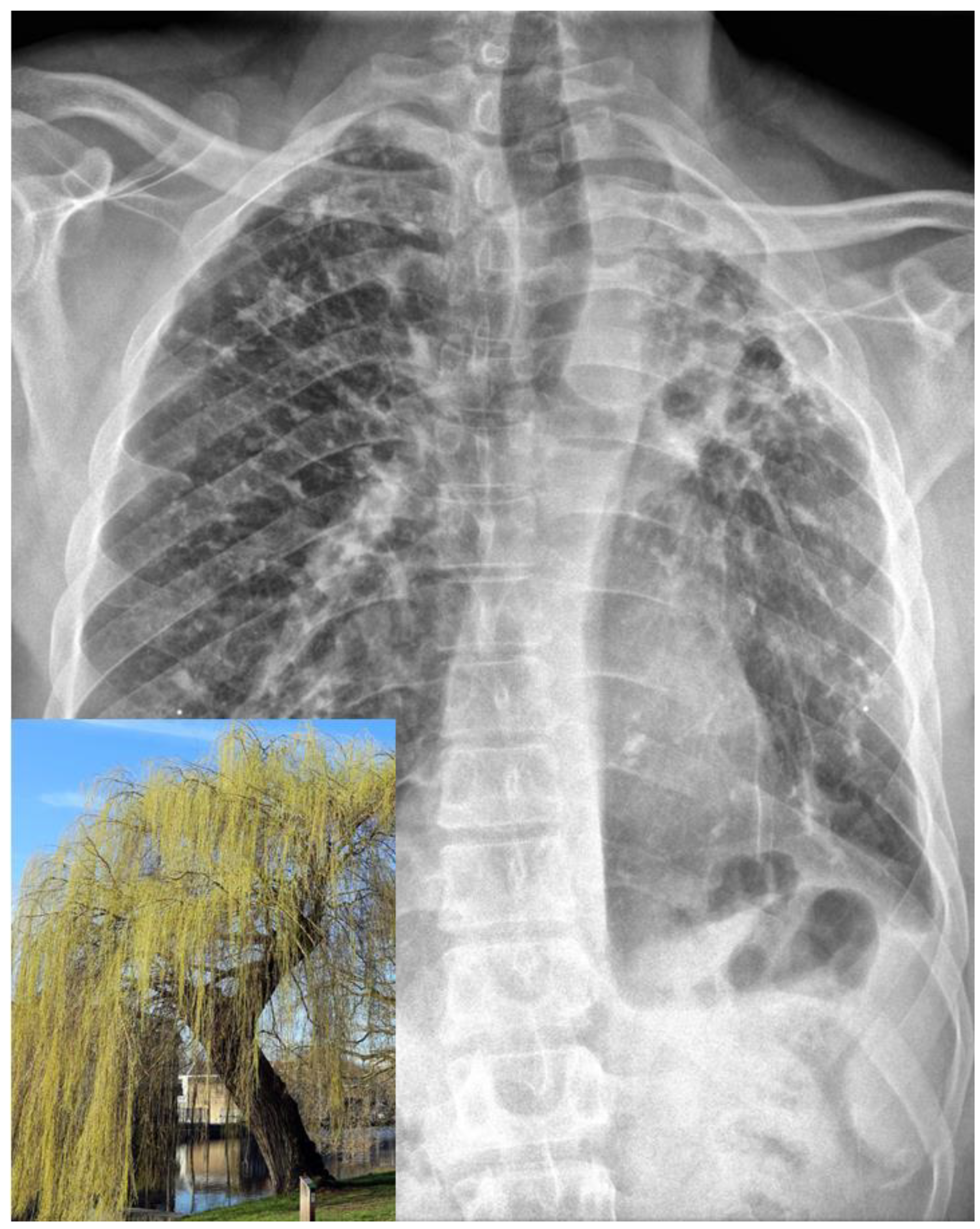 Tropicalmed 08 00191 g001