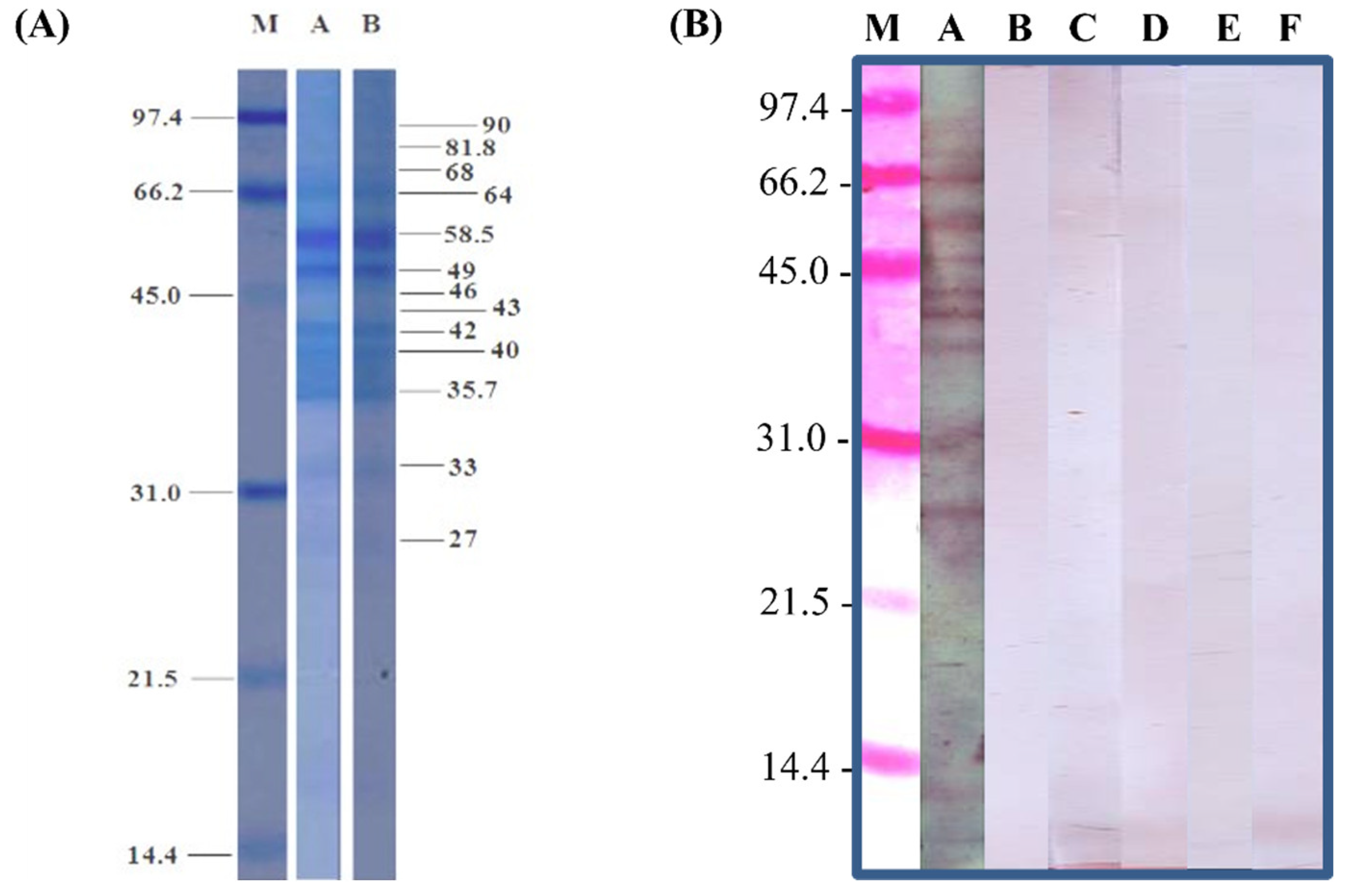 Tropicalmed 08 00209 g005