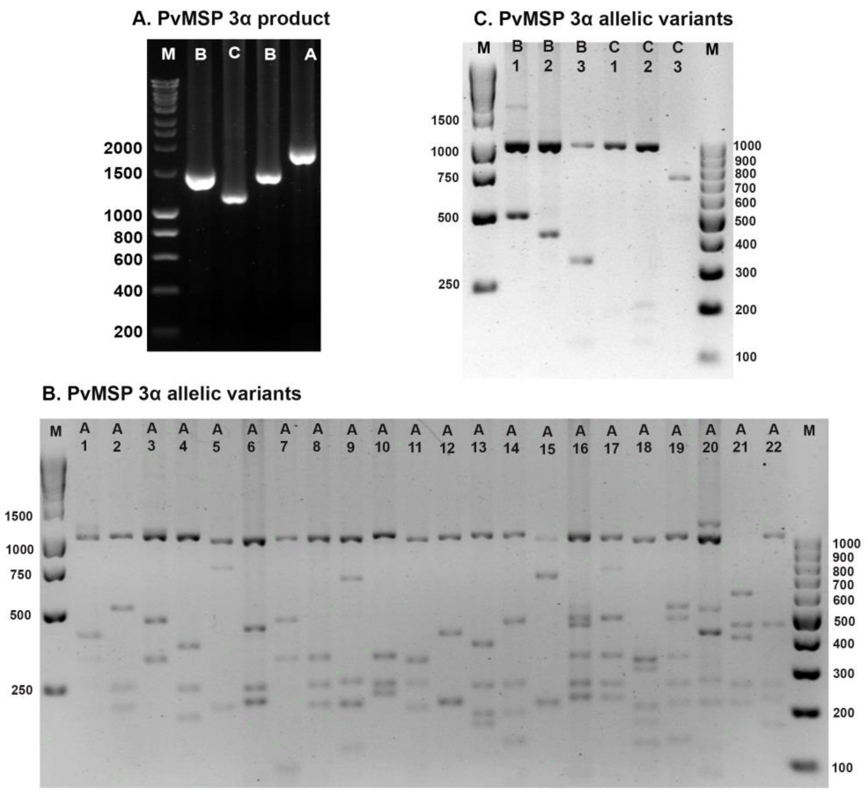 Tropicalmed 08 00210 g002