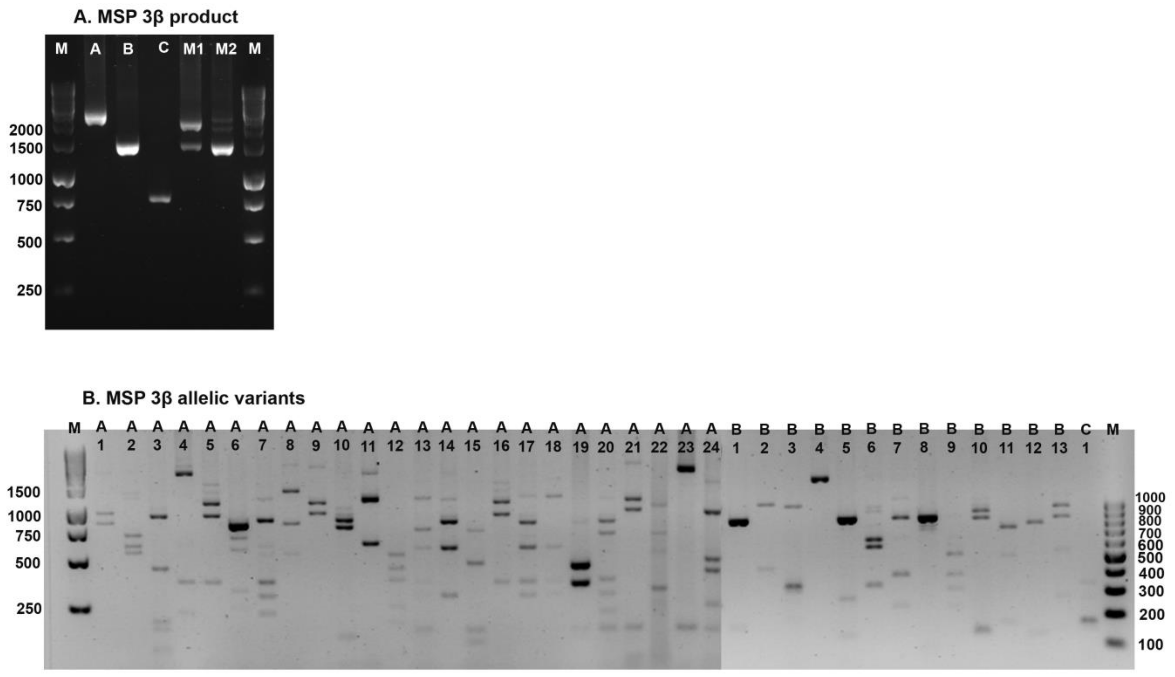 Tropicalmed 08 00210 g003