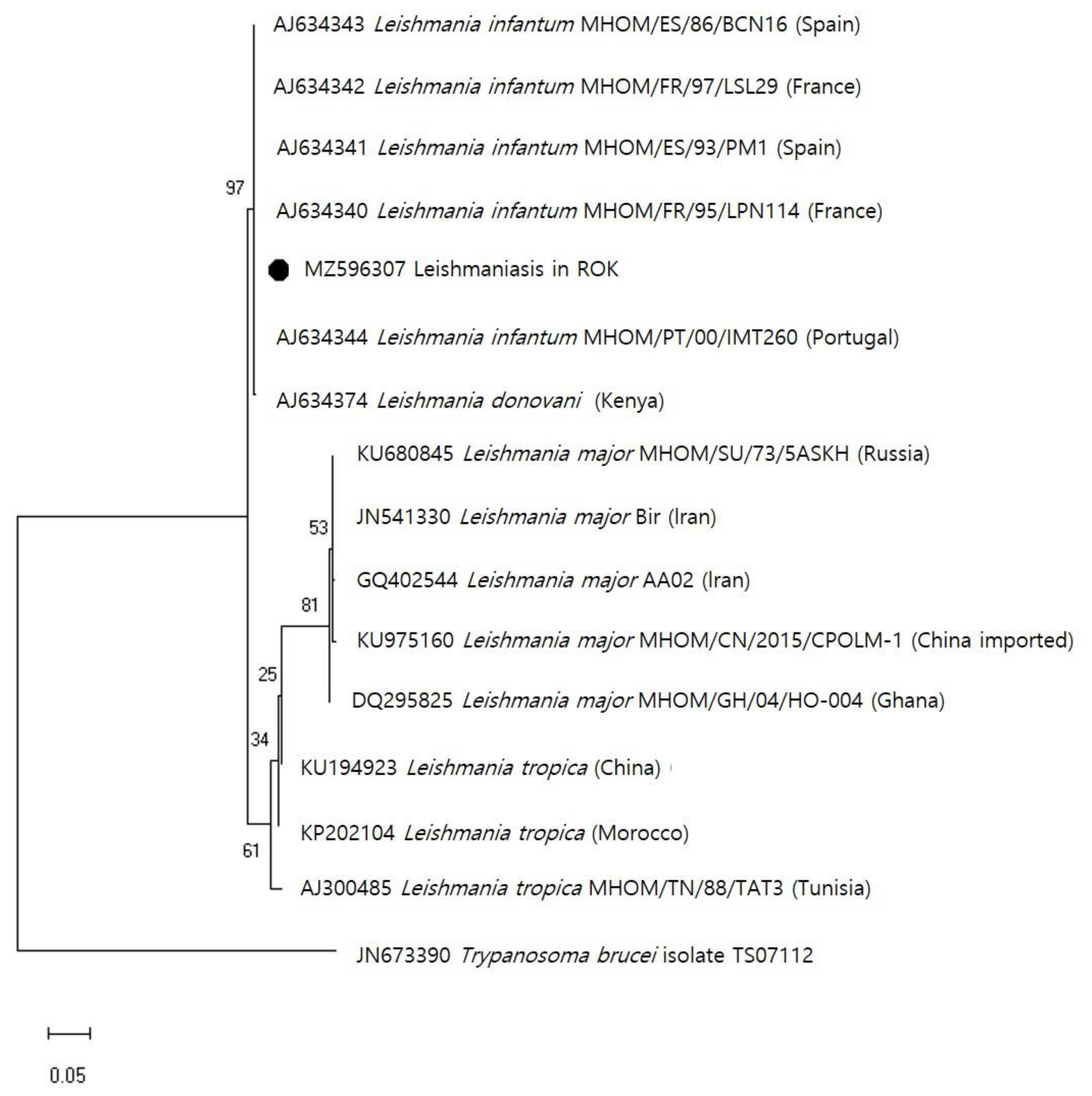 Tropicalmed 08 00223 g002