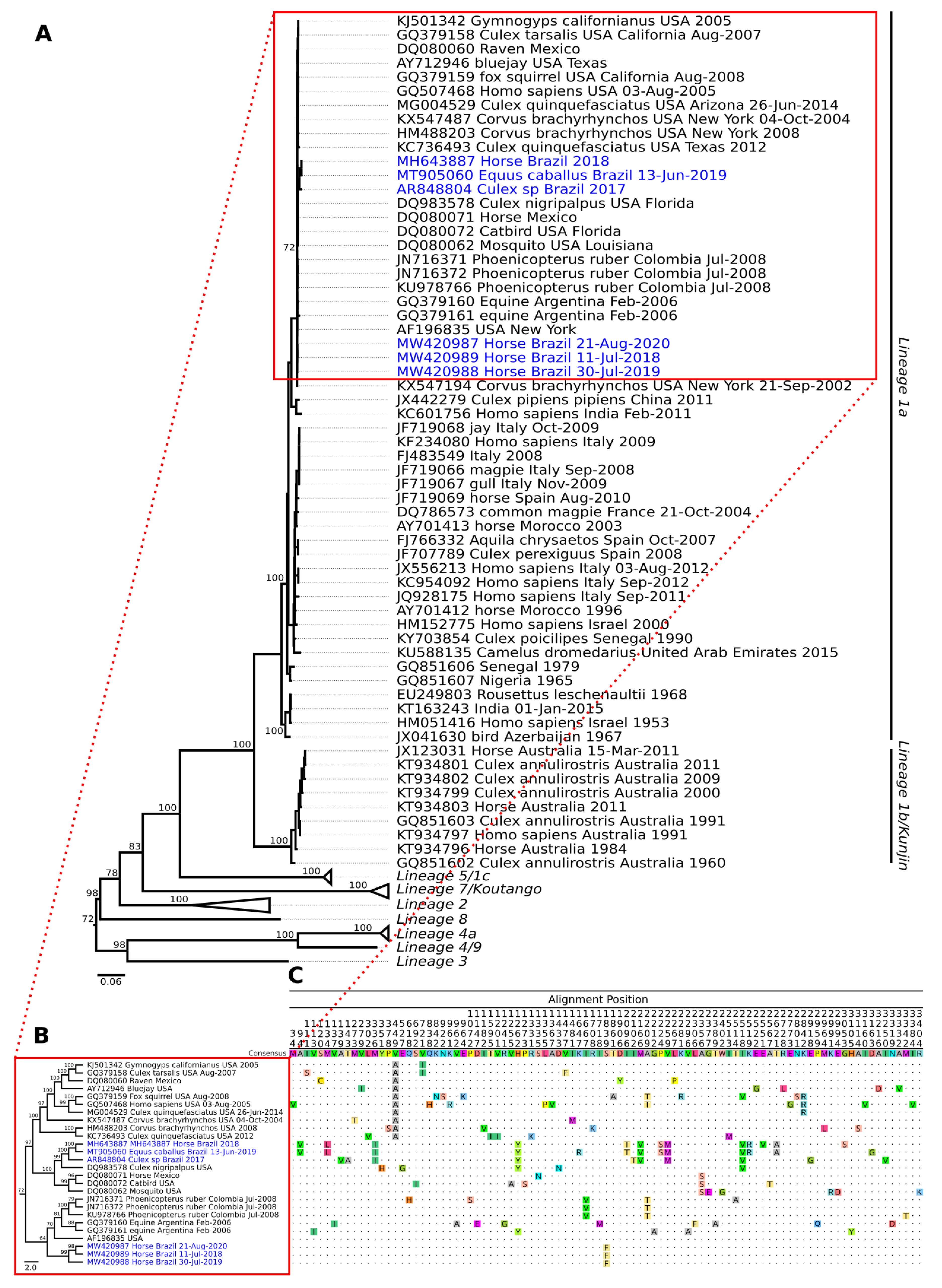 Tropicalmed 08 00237 g005