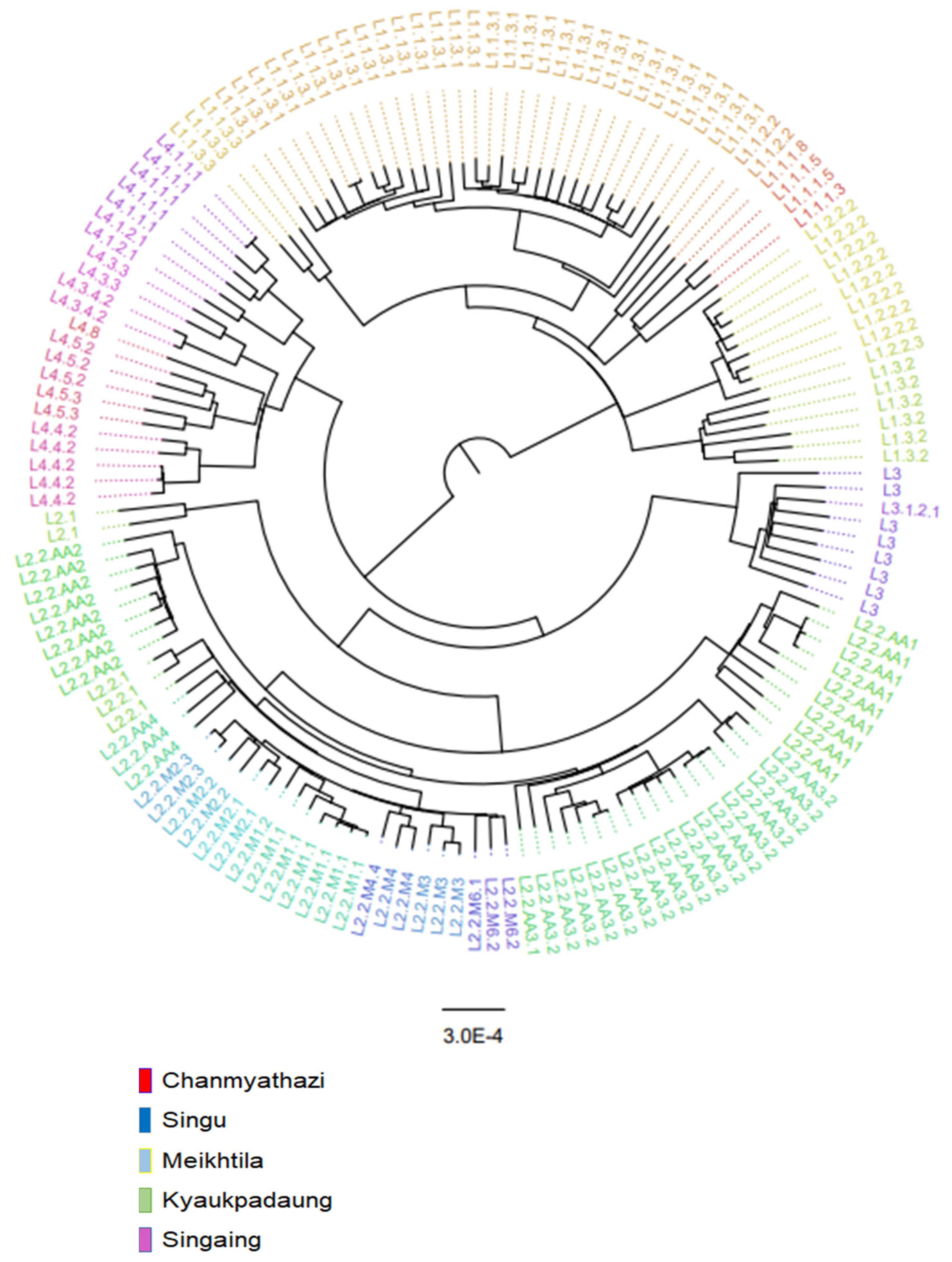 Tropicalmed 08 00239 g001
