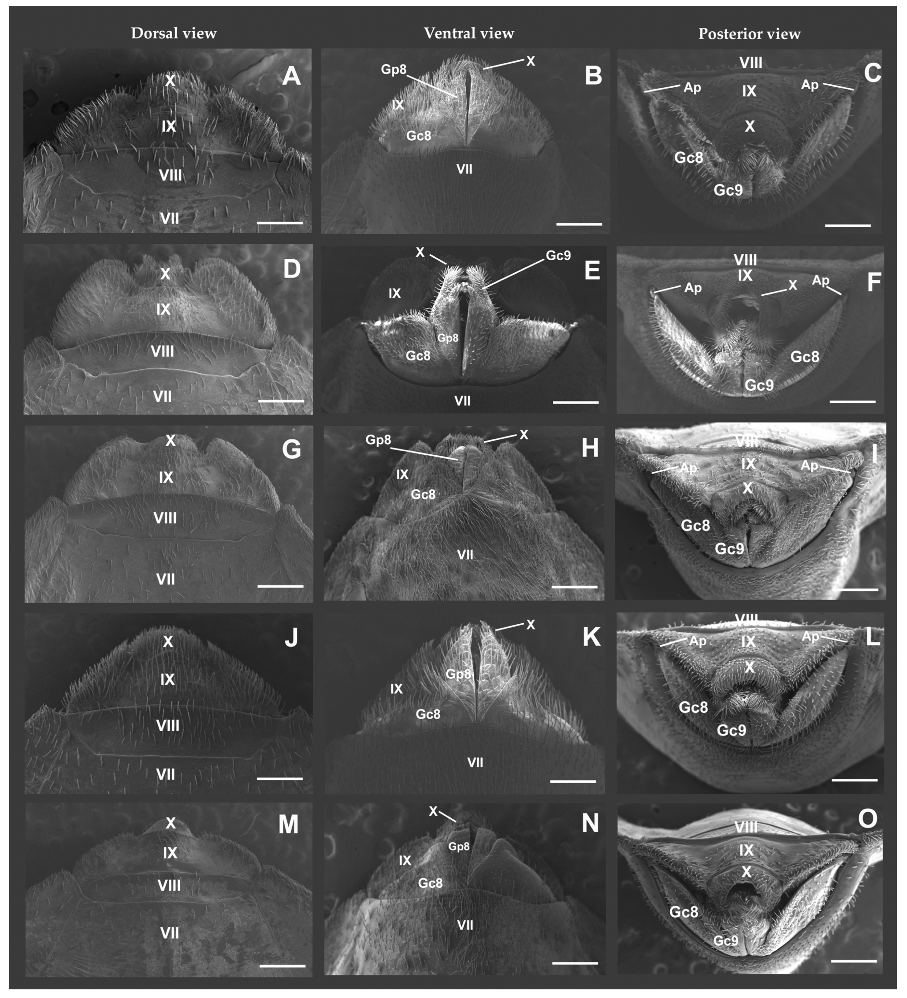 Tropicalmed 08 00240 g001