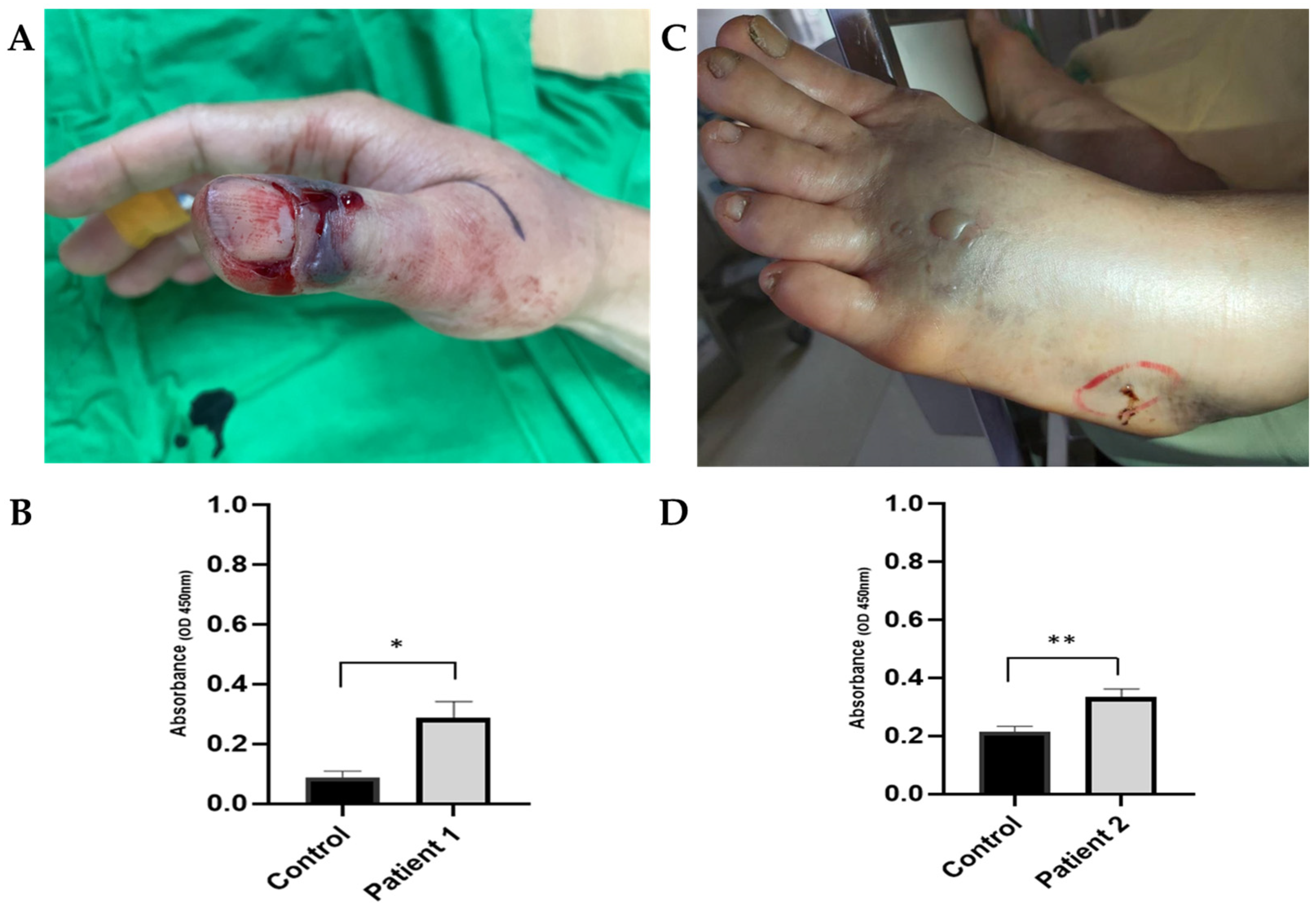 Tropicalmed 08 00246 g004