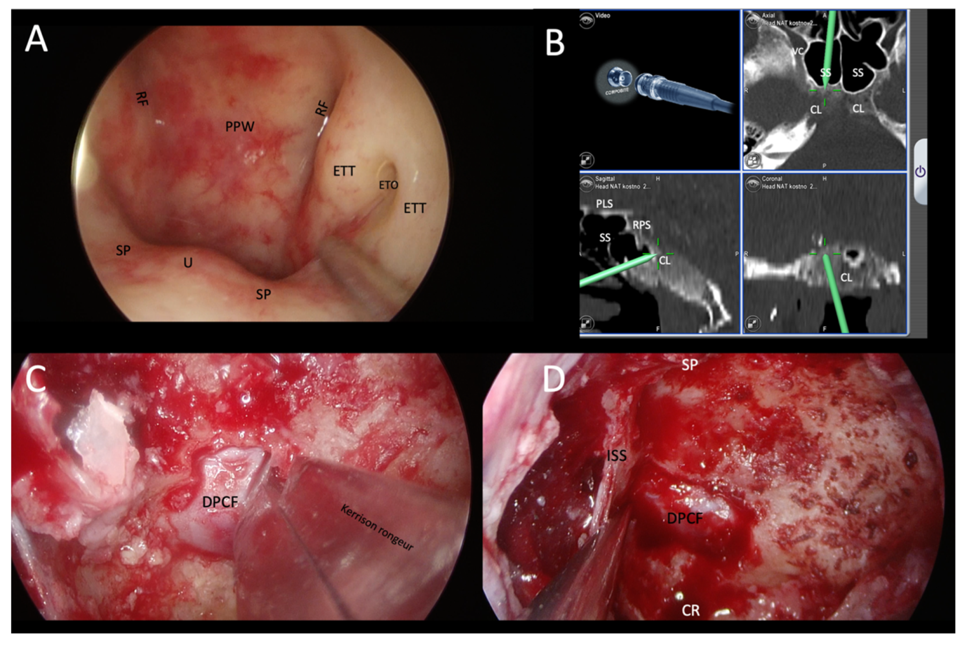 Tropicalmed 08 00254 g006 Tropicalmed 08 00254 g006