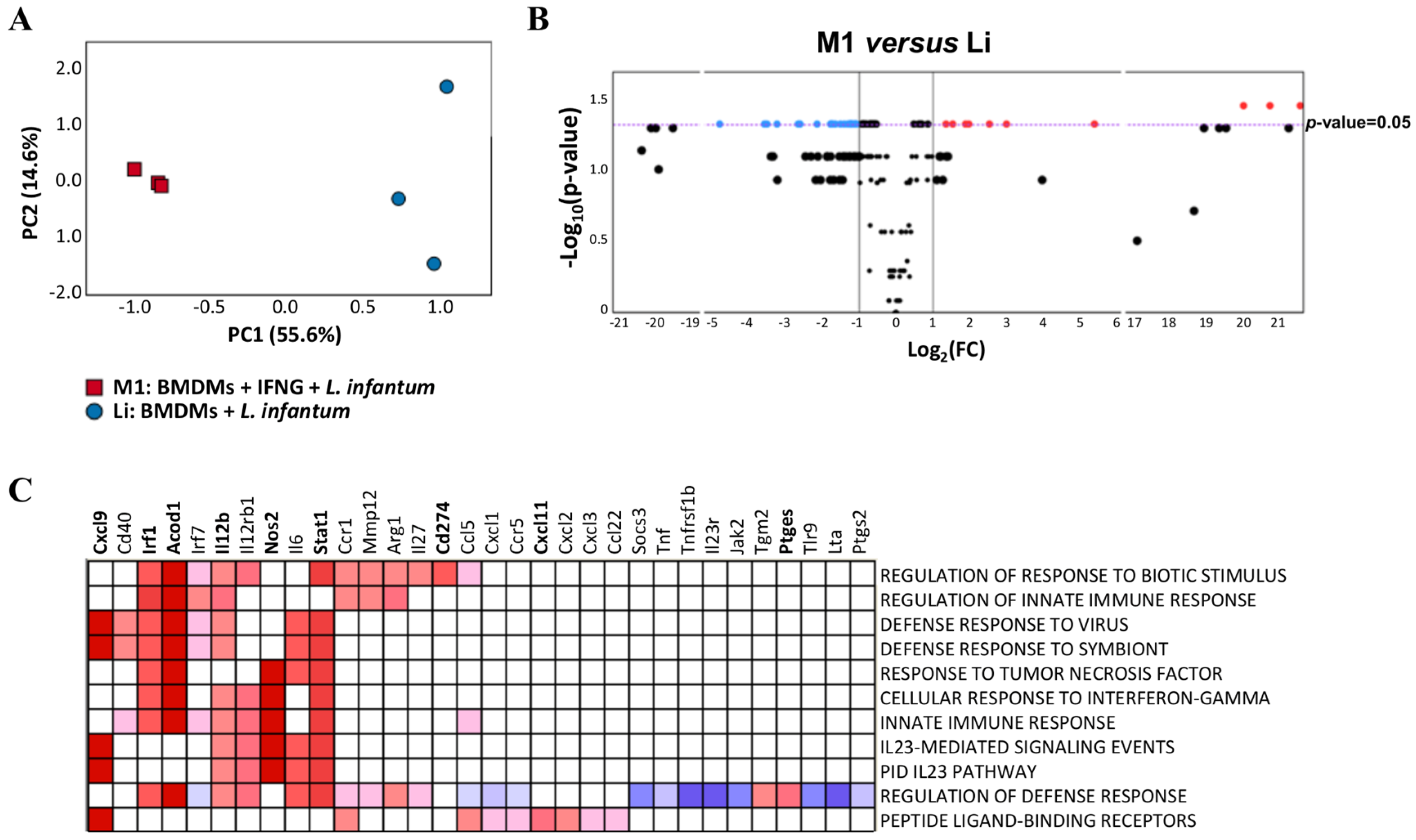 Tropicalmed 08 00264 g002