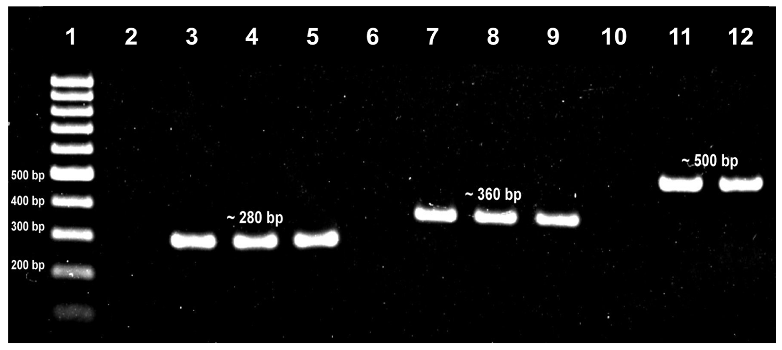 Tropicalmed 08 00269 g001