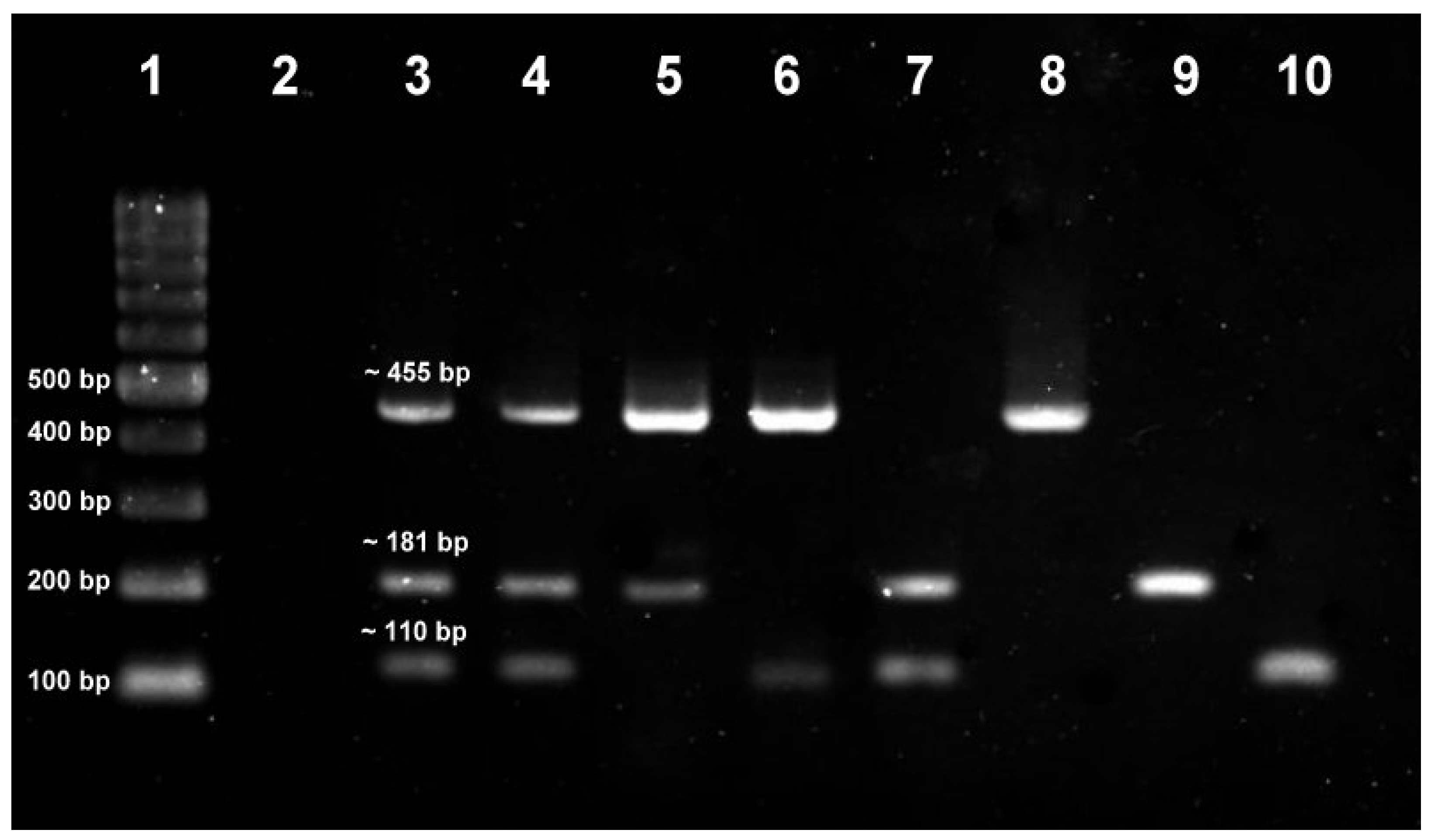 Tropicalmed 08 00269 g002