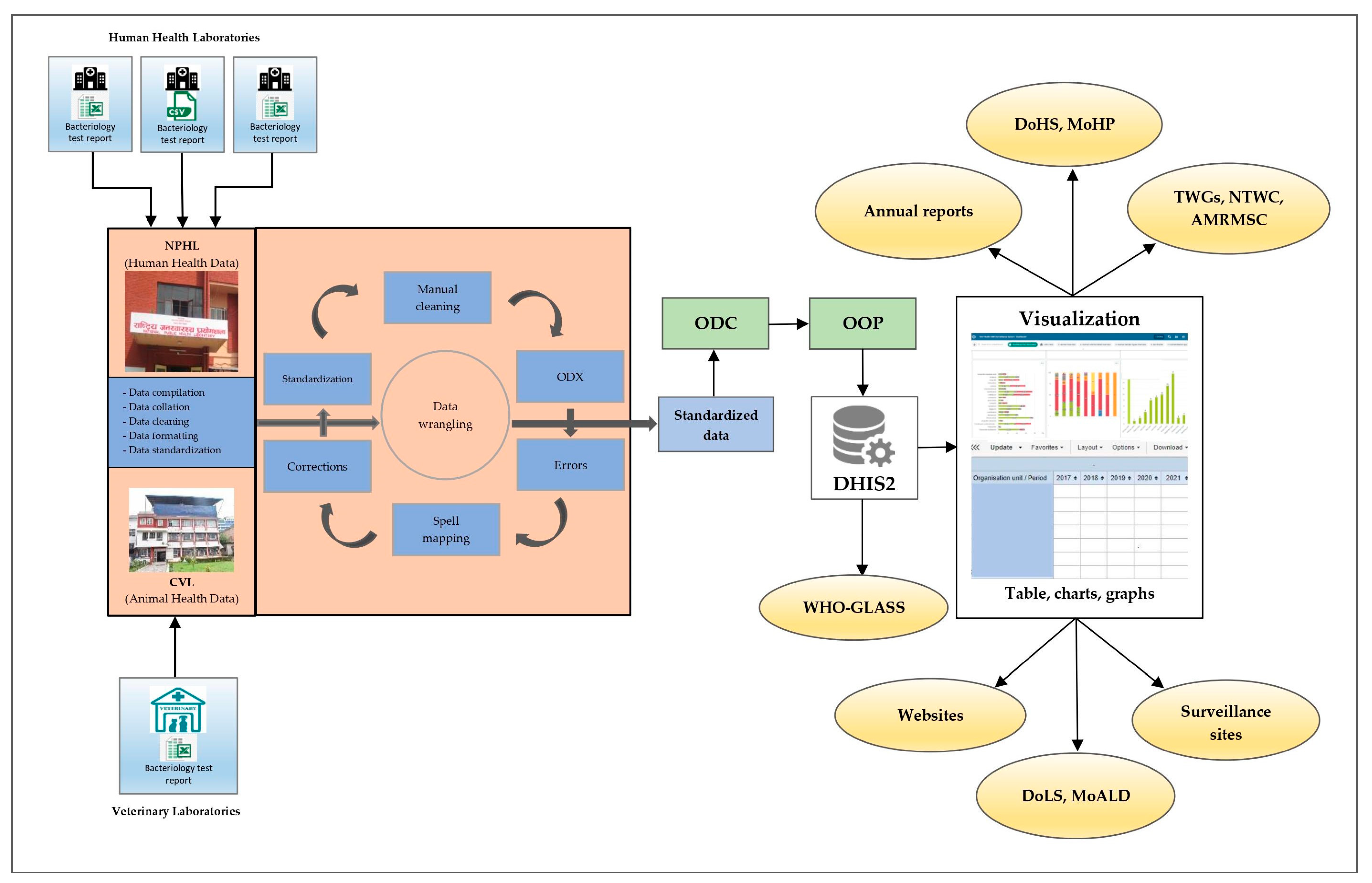 Tropicalmed 08 00291 g002
