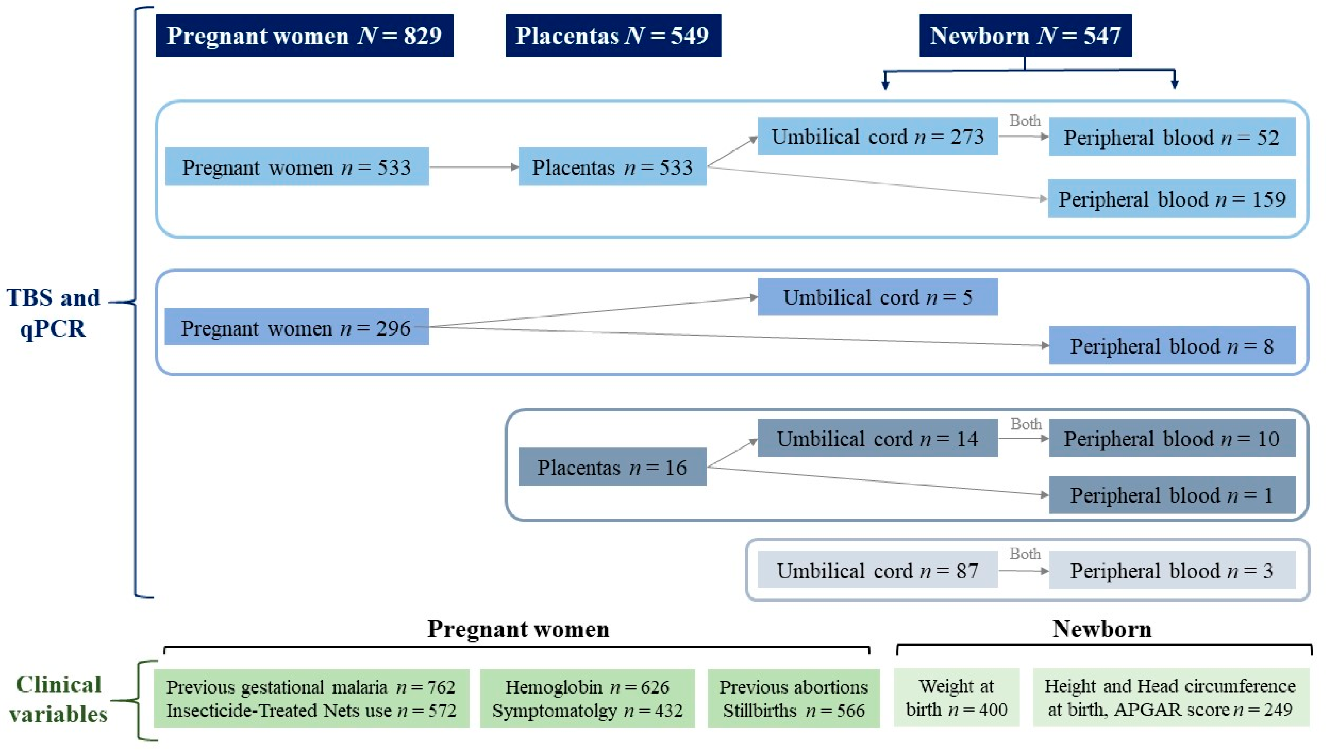 Tropicalmed 08 00292 g001