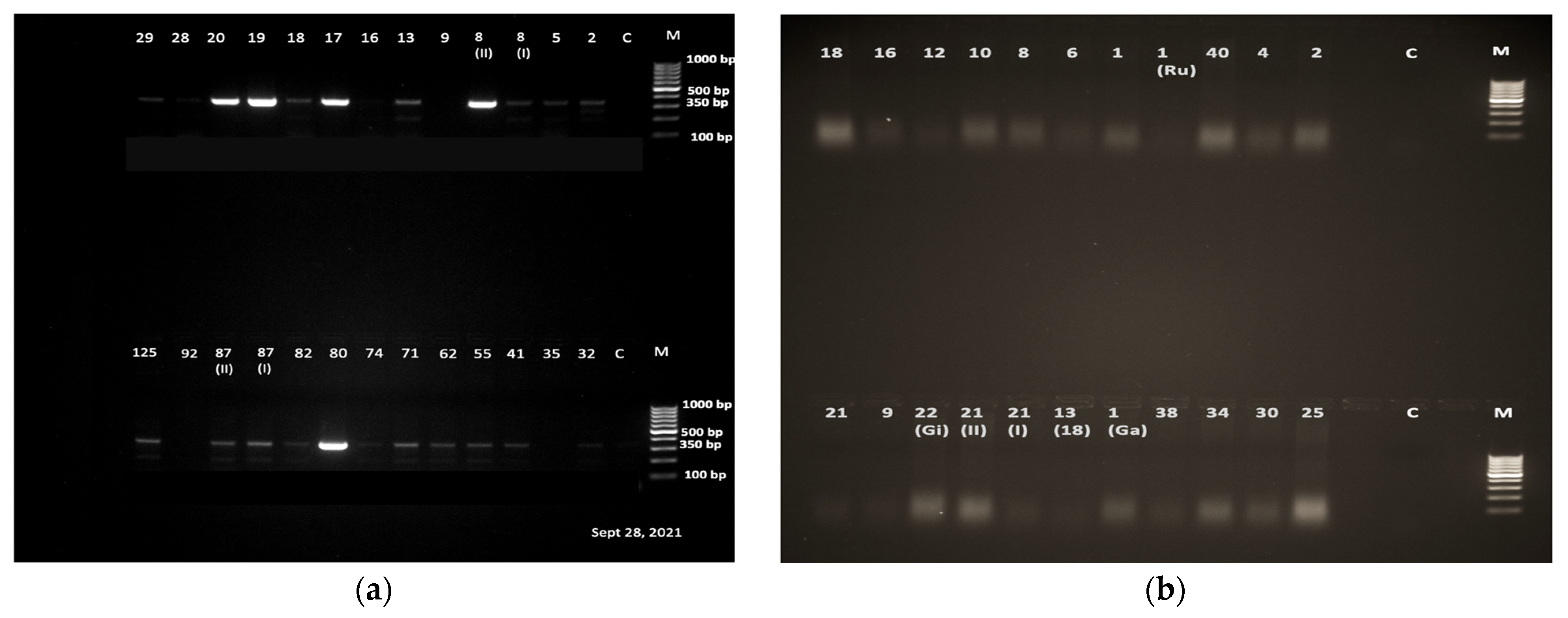 Tropicalmed 08 00295 g002