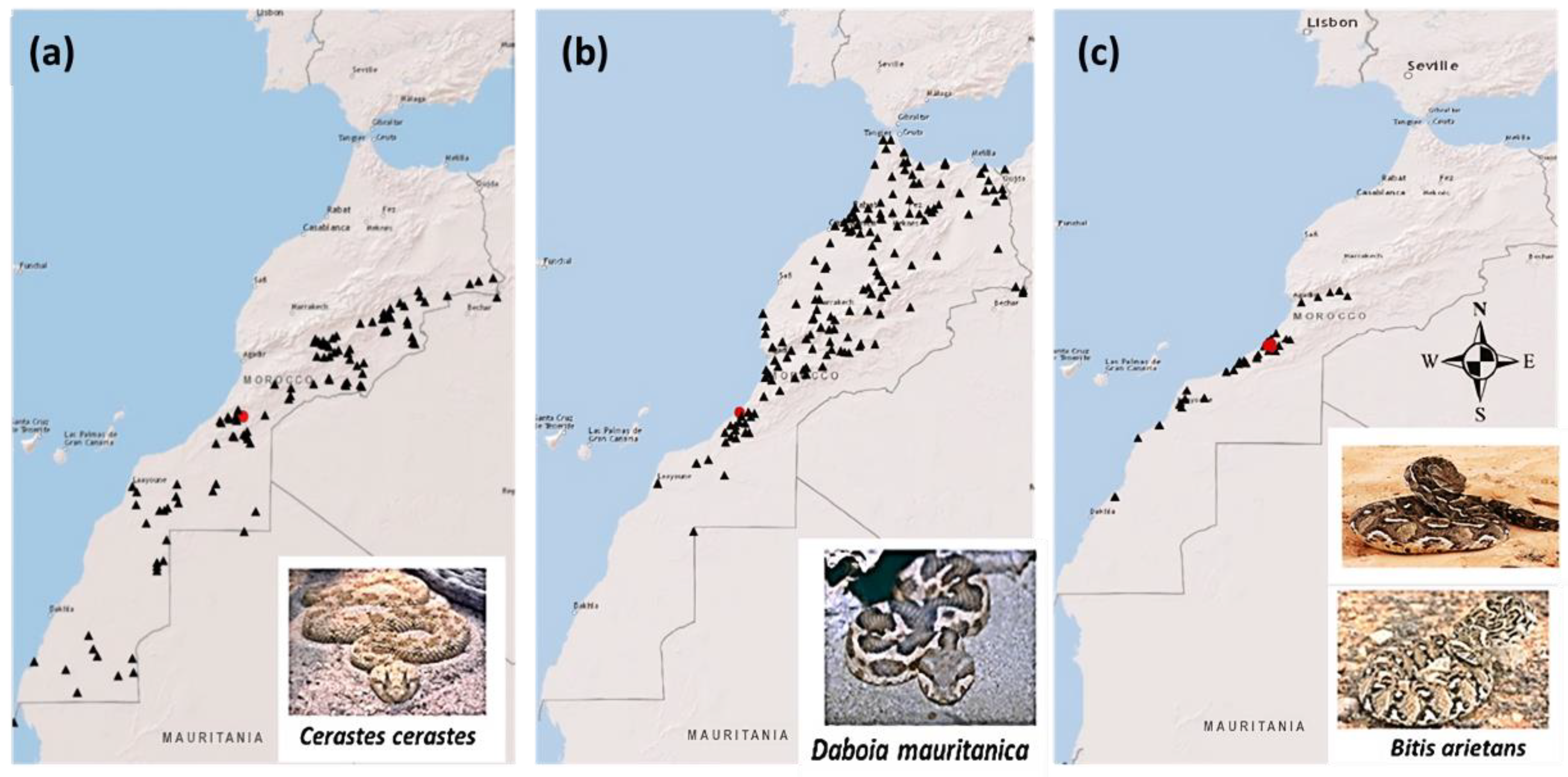 Tropicalmed 08 00302 g001