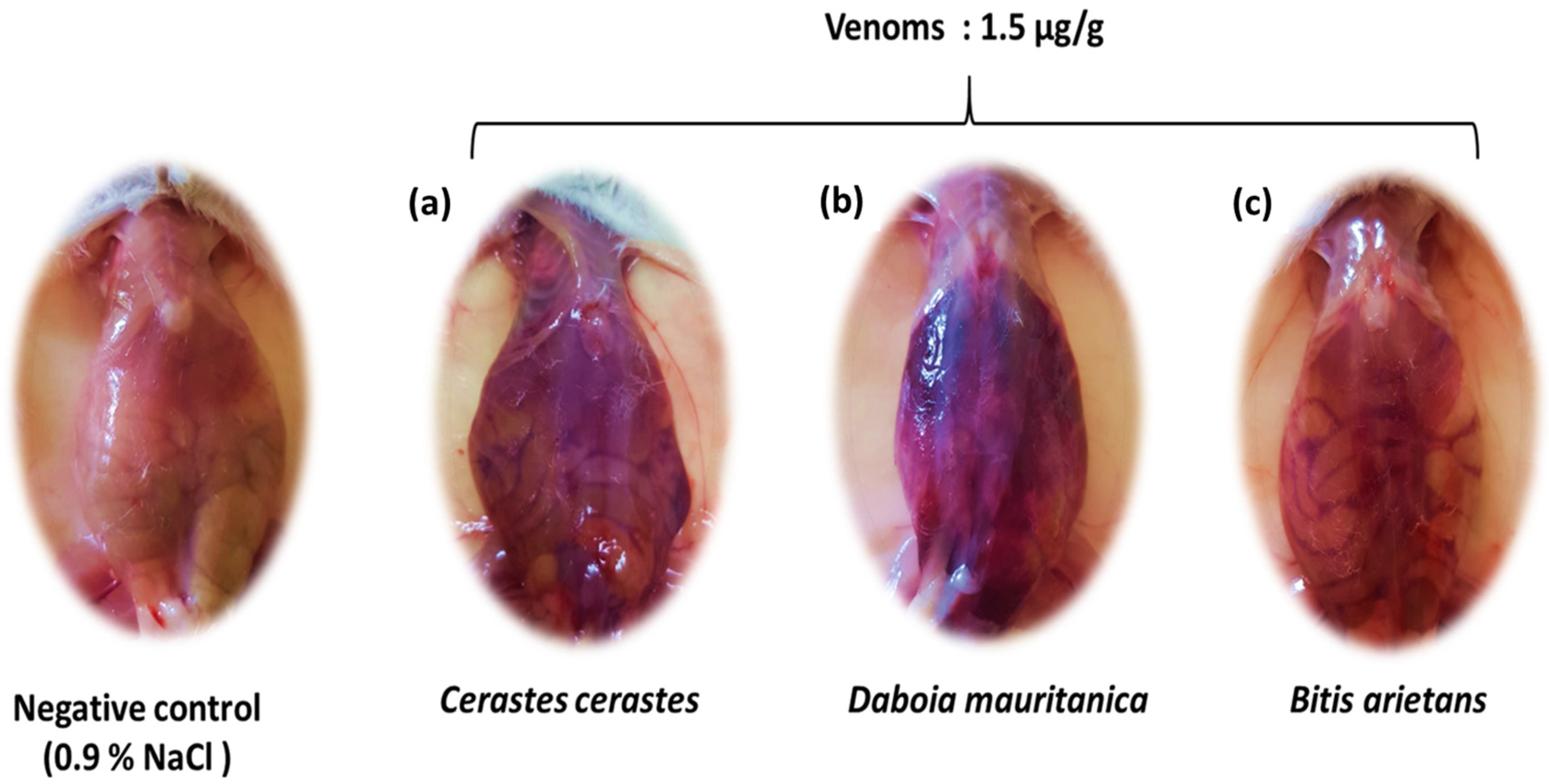 Tropicalmed 08 00302 g002