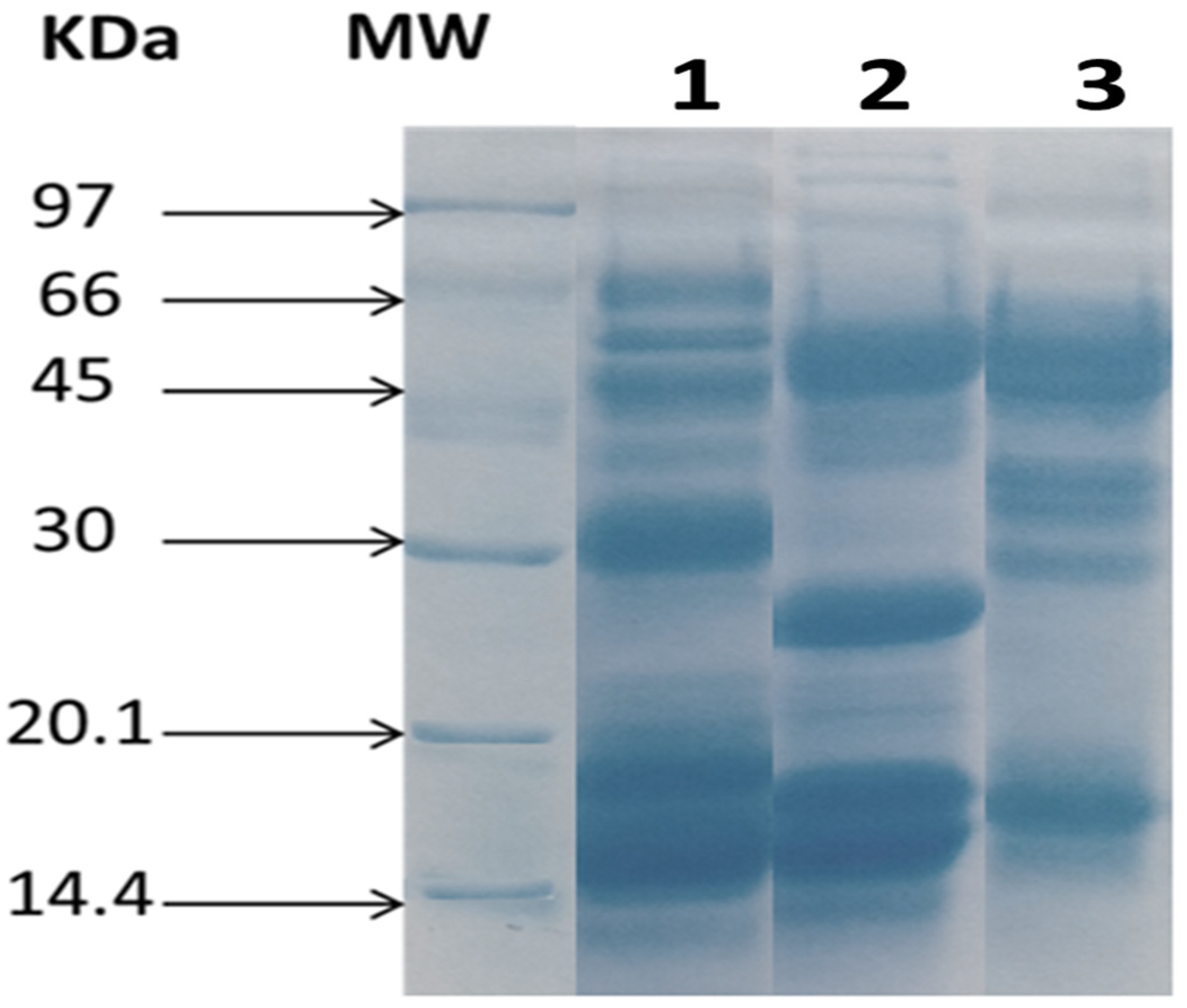 Tropicalmed 08 00302 g003