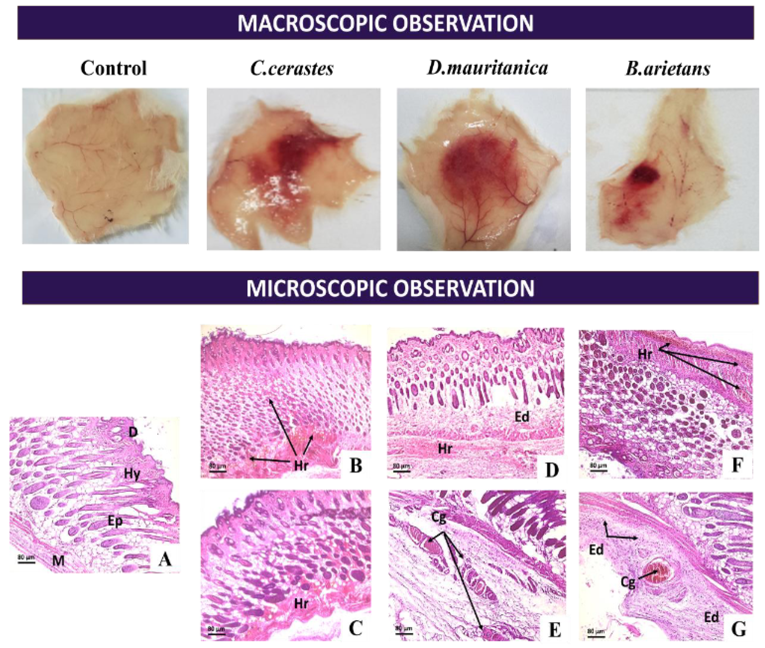 Tropicalmed 08 00302 g007