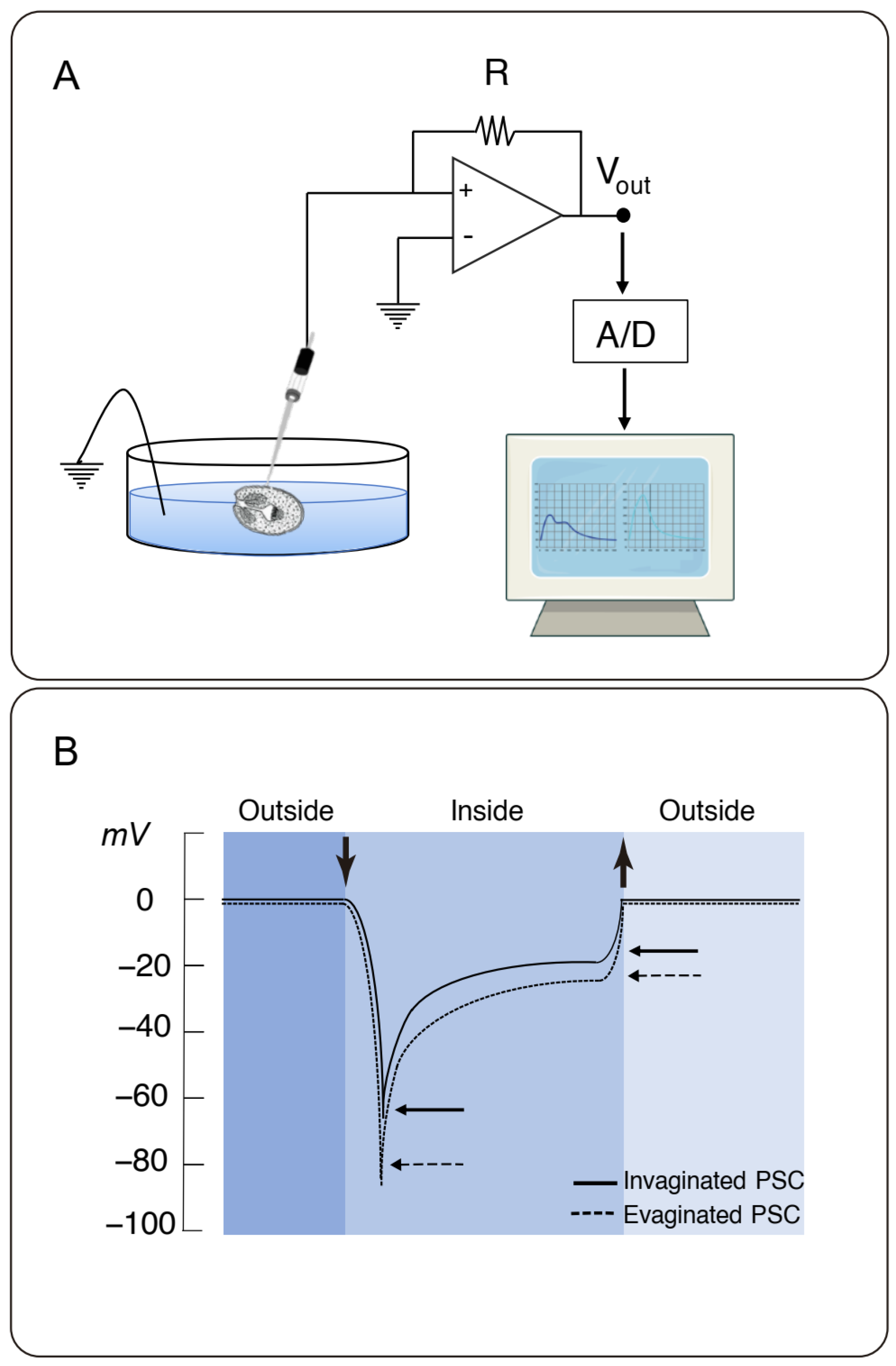 Tropicalmed 08 00303 g001