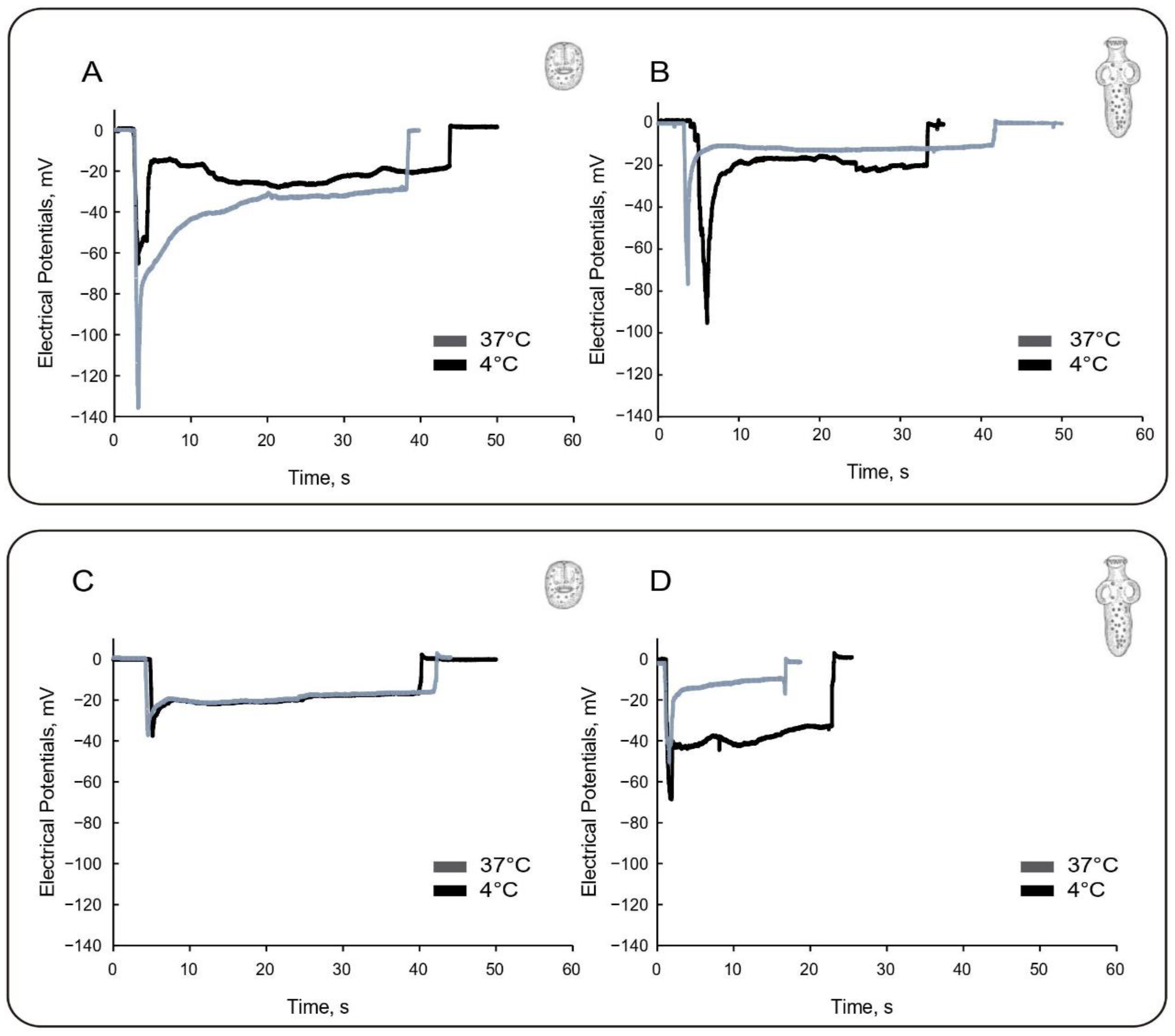 Tropicalmed 08 00303 g002