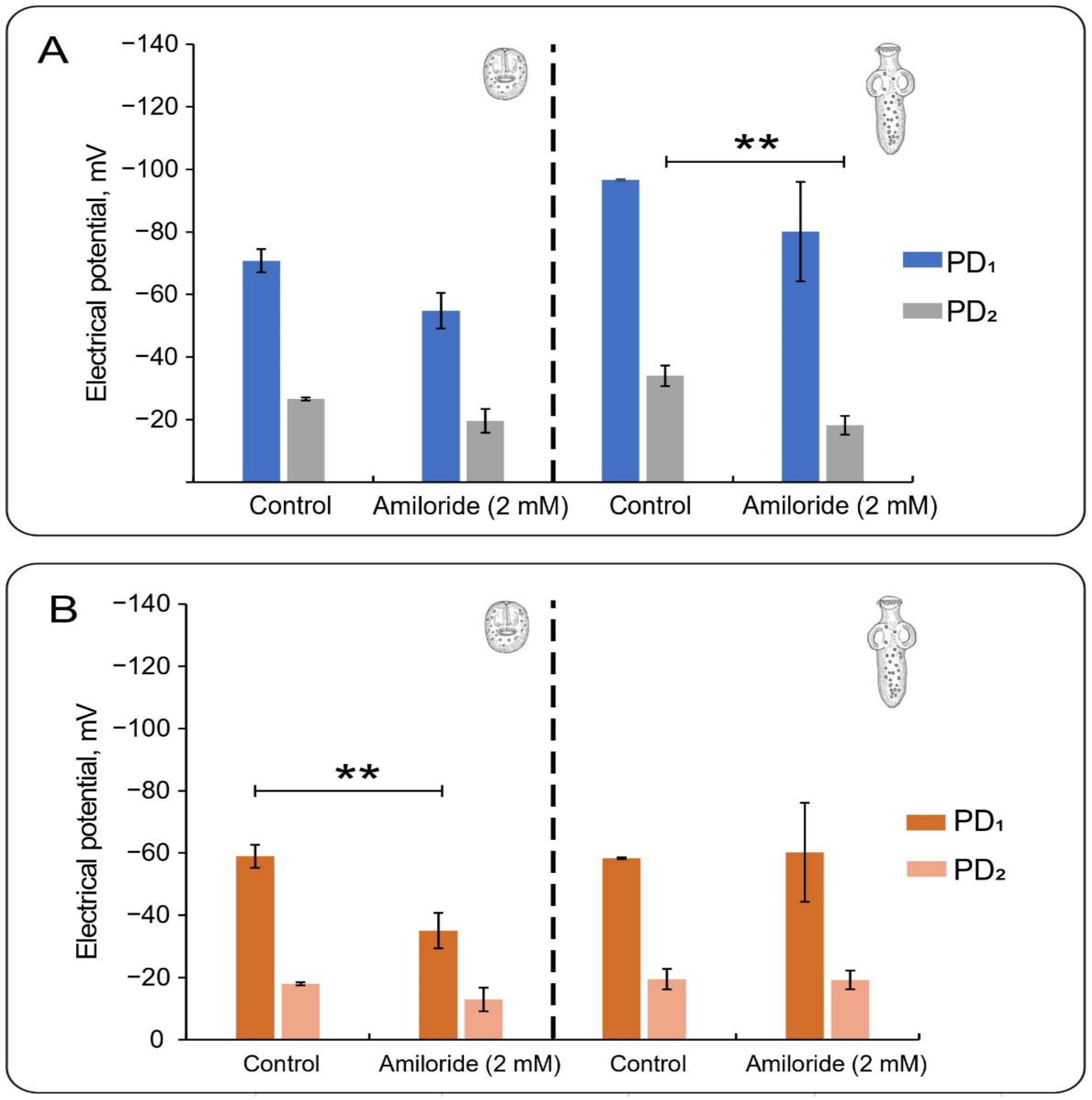 Tropicalmed 08 00303 g004