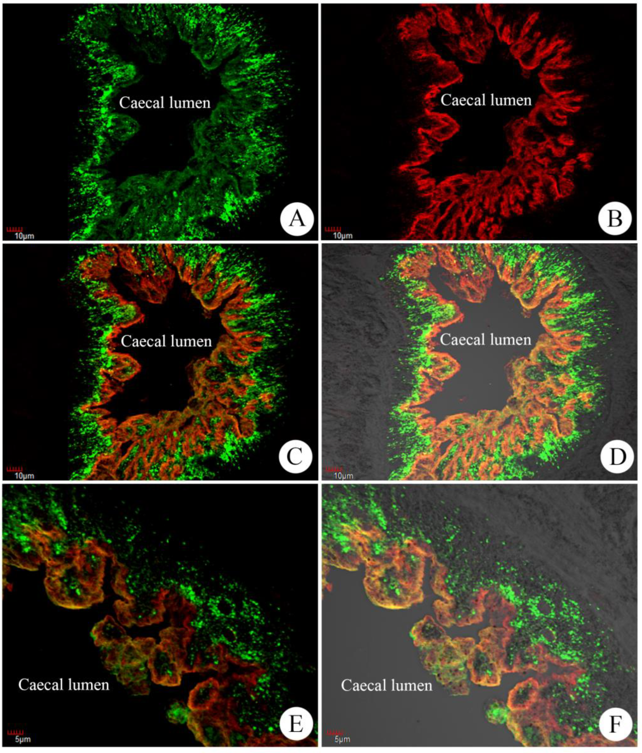 Tropicalmed 08 00334 g002 Tropicalmed 08 00334 g002