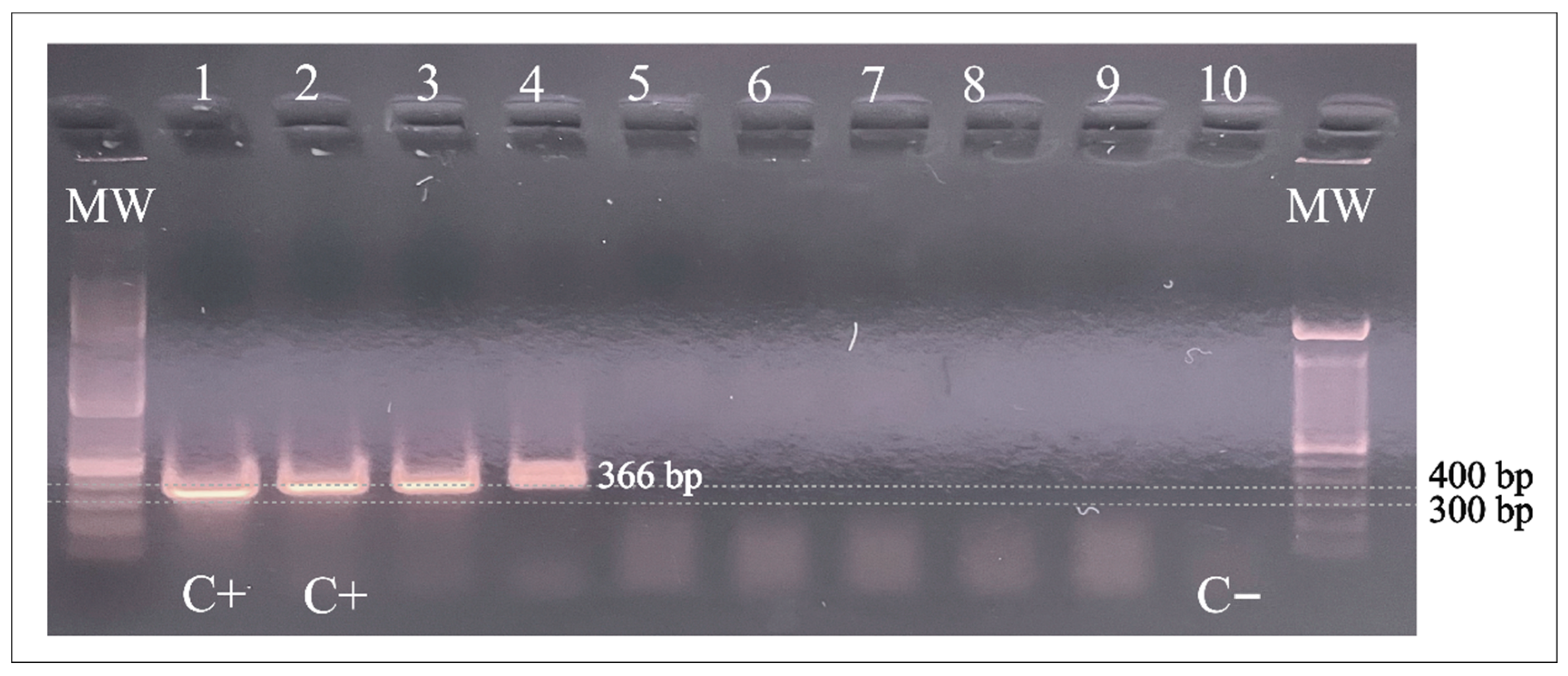 Tropicalmed 08 00345 g001