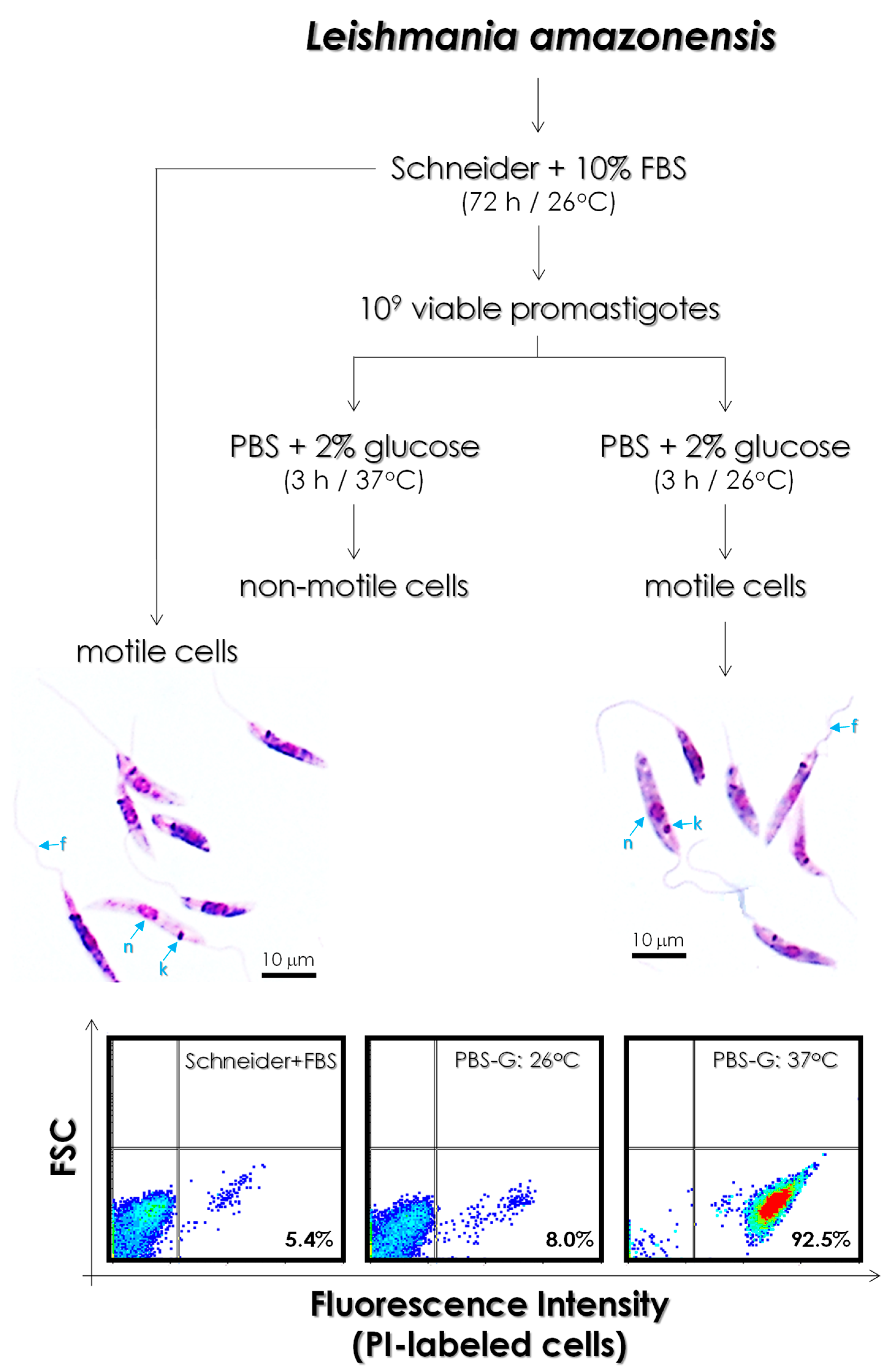 Tropicalmed 08 00348 g002