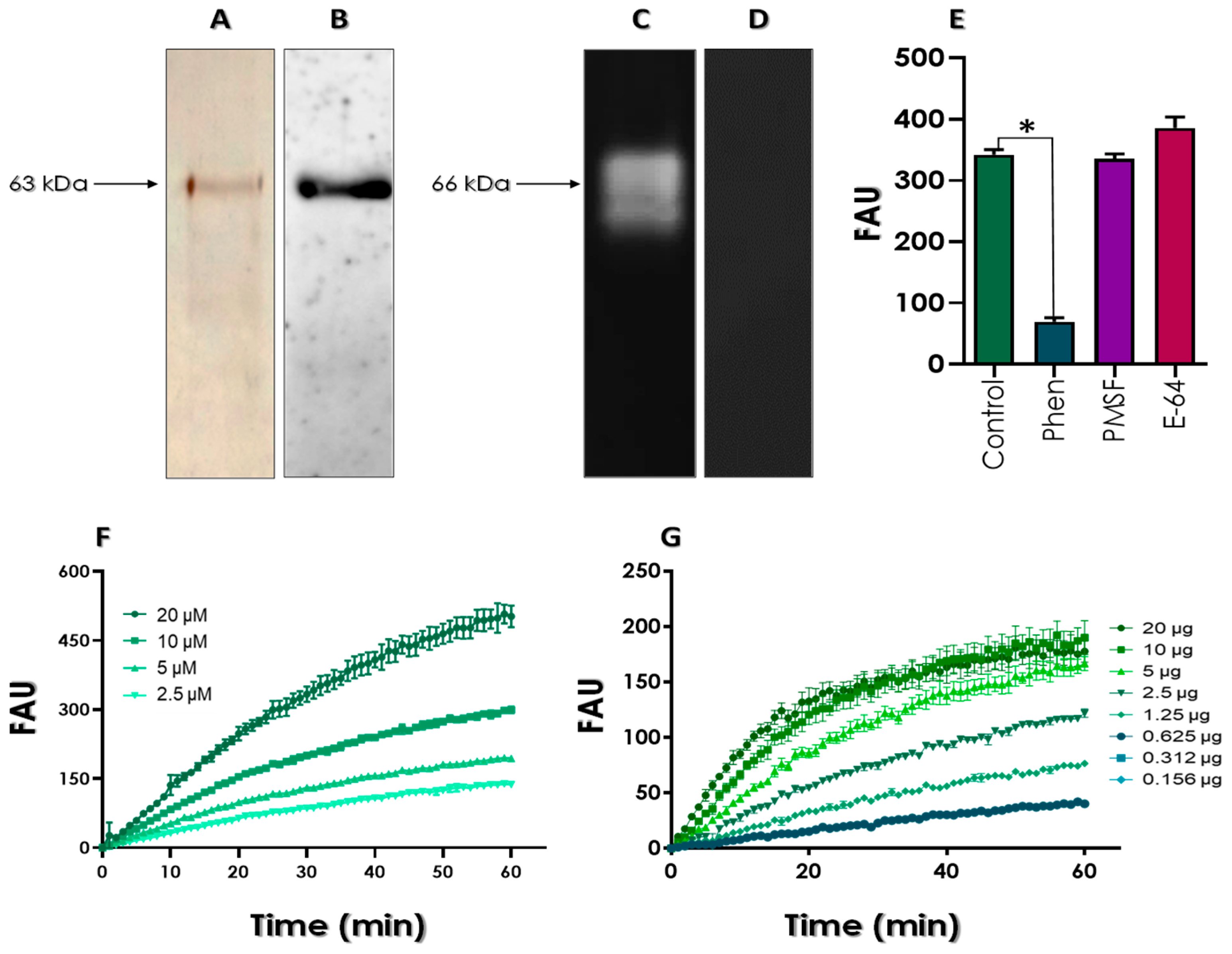 Tropicalmed 08 00348 g003