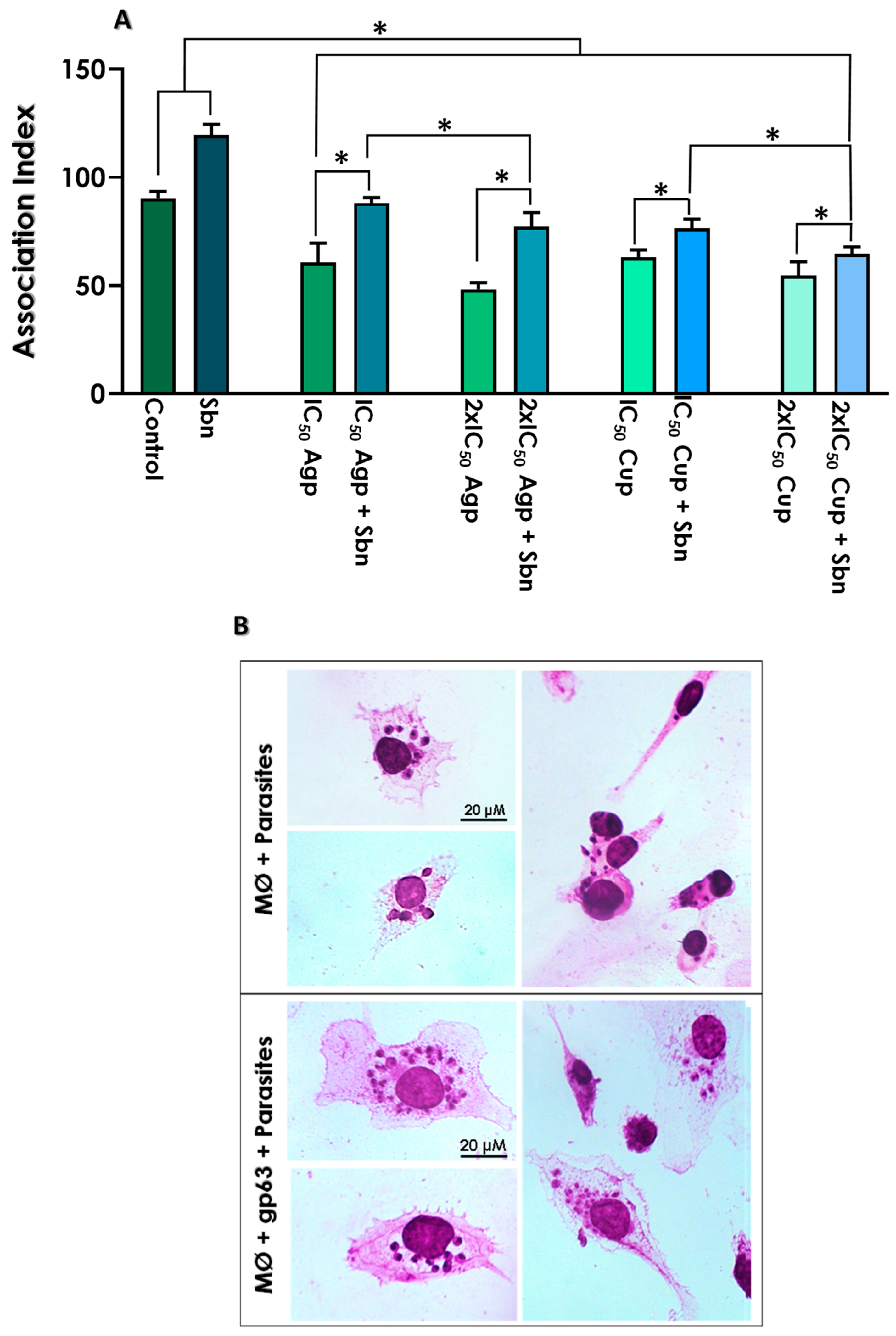 Tropicalmed 08 00348 g007